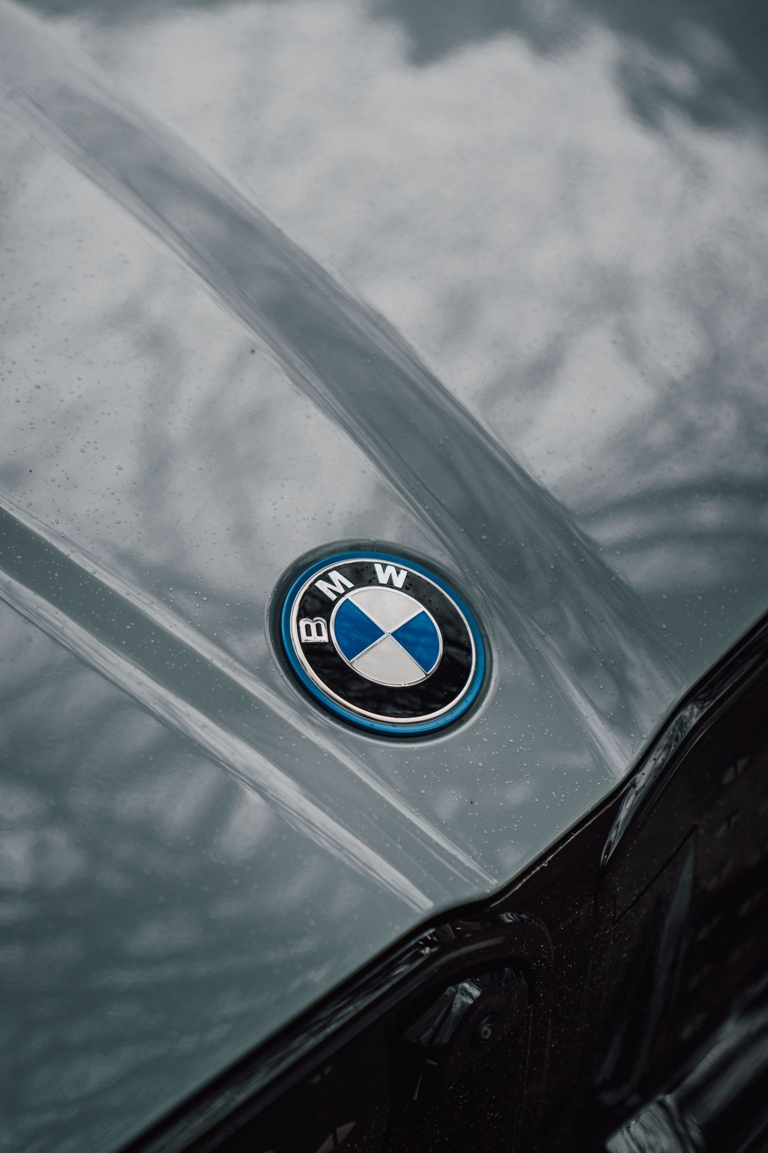 Close-up of a BMW roundel logo on a wet dark grey car hood with reflective surface detail.