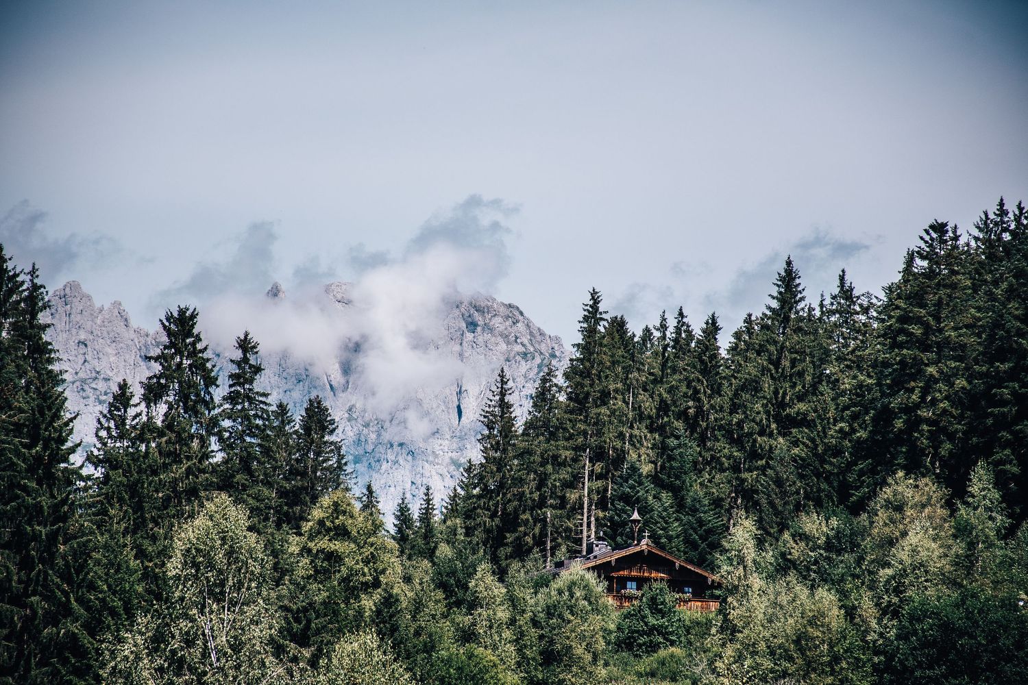 Rustic wooden alpine cabin nestled among tall evergreen trees with misty mountains behind.