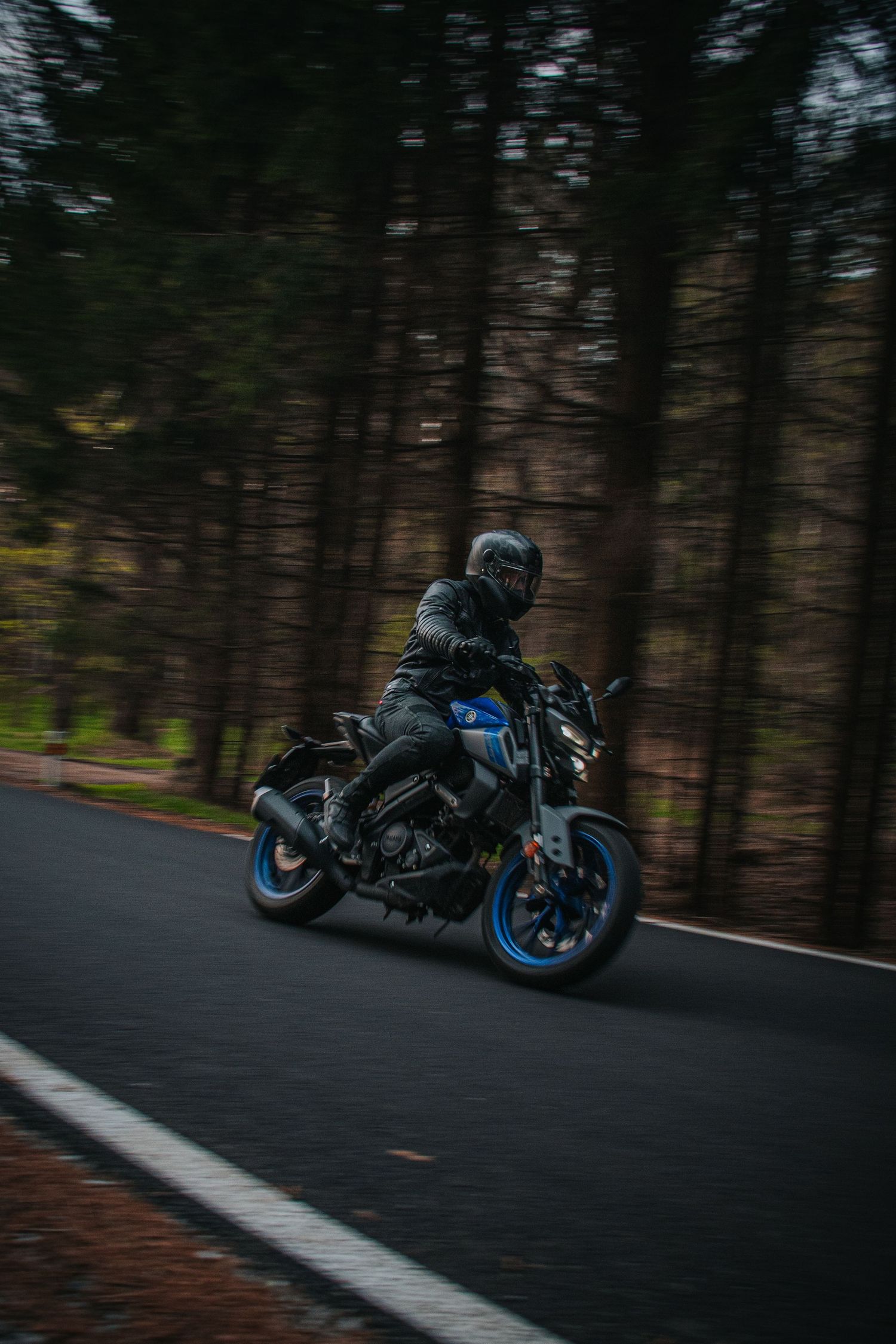 Motorcyclist in black leather gear riding a blue naked bike at speed on a forest road with motion blur background.