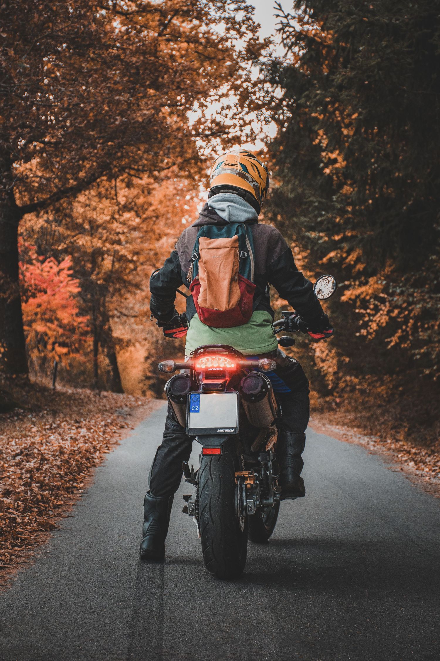Motorcyclist with backpack riding on autumn forest road, rear view of bike with red brake light glowing.