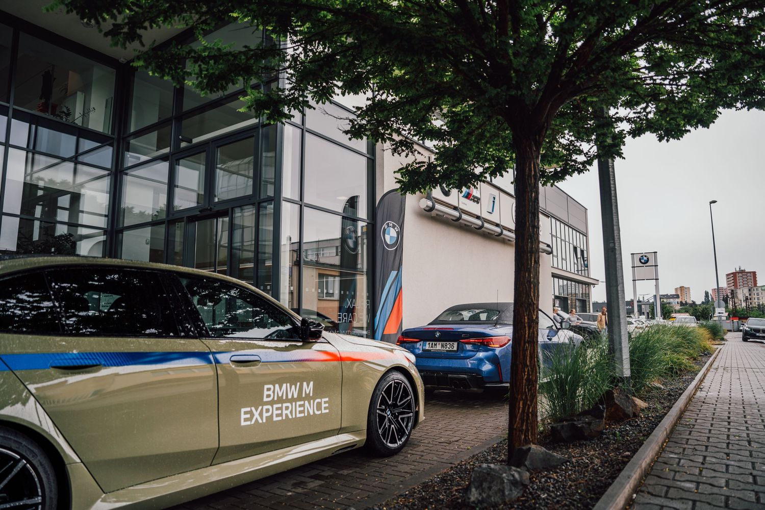 BMW M Experience gold and blue branded vehicles parked outside an official BMW dealership.