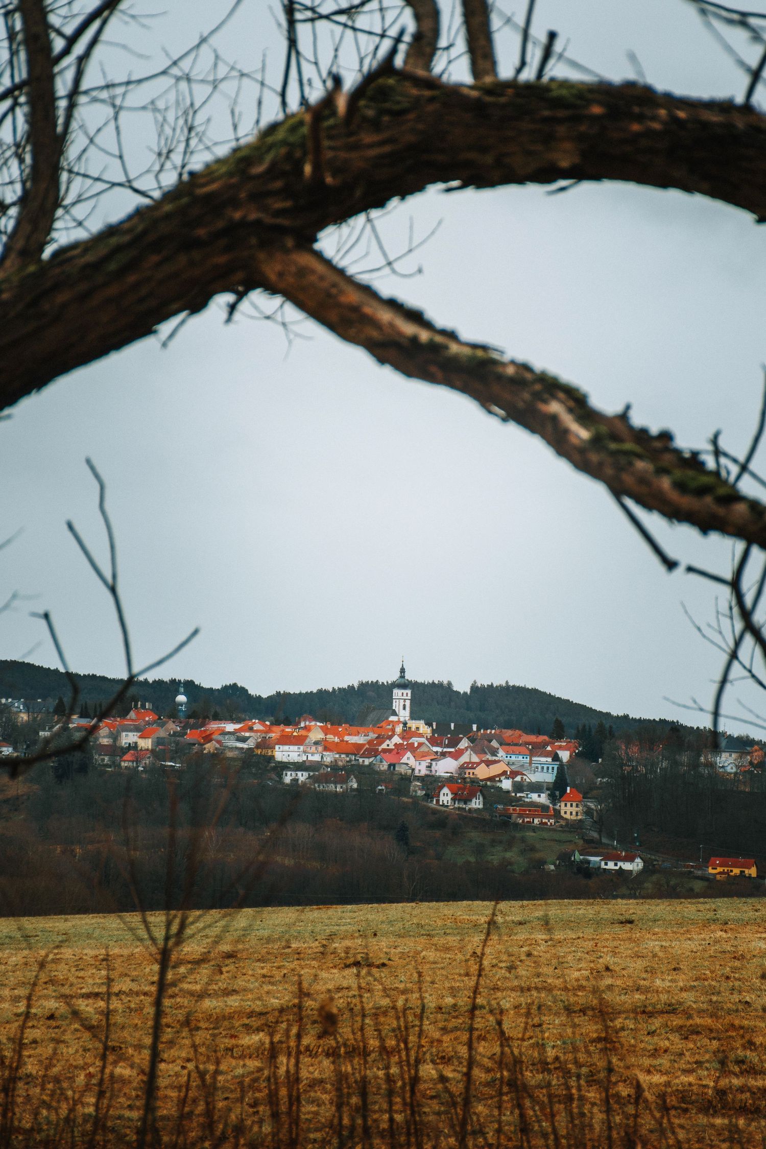 A small European hilltop village with red rooftops and church steeple framed by a bare tree branch.