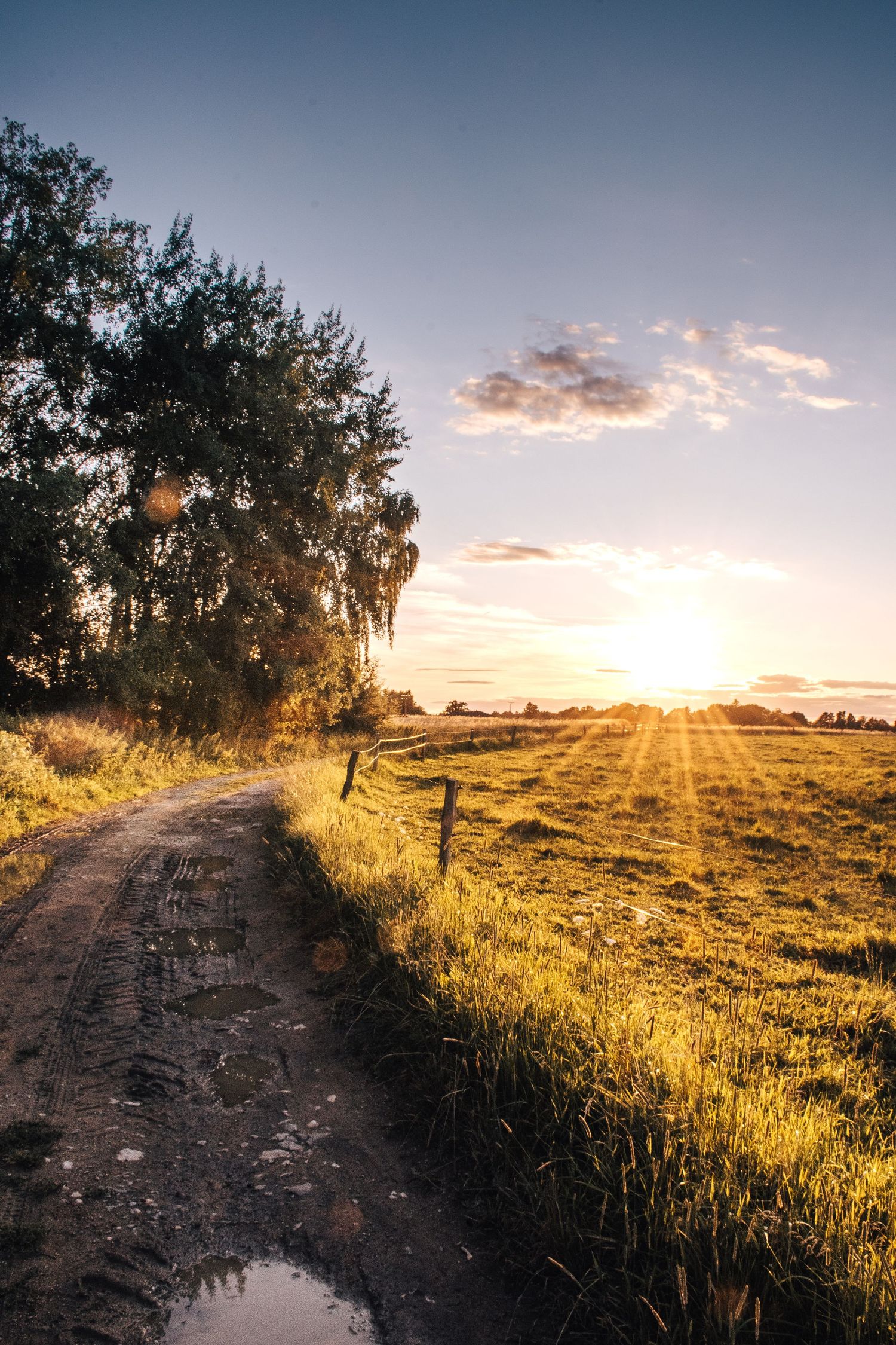 Dirt road alongside lush green field bathed in warm golden sunset light with dramatic sky.