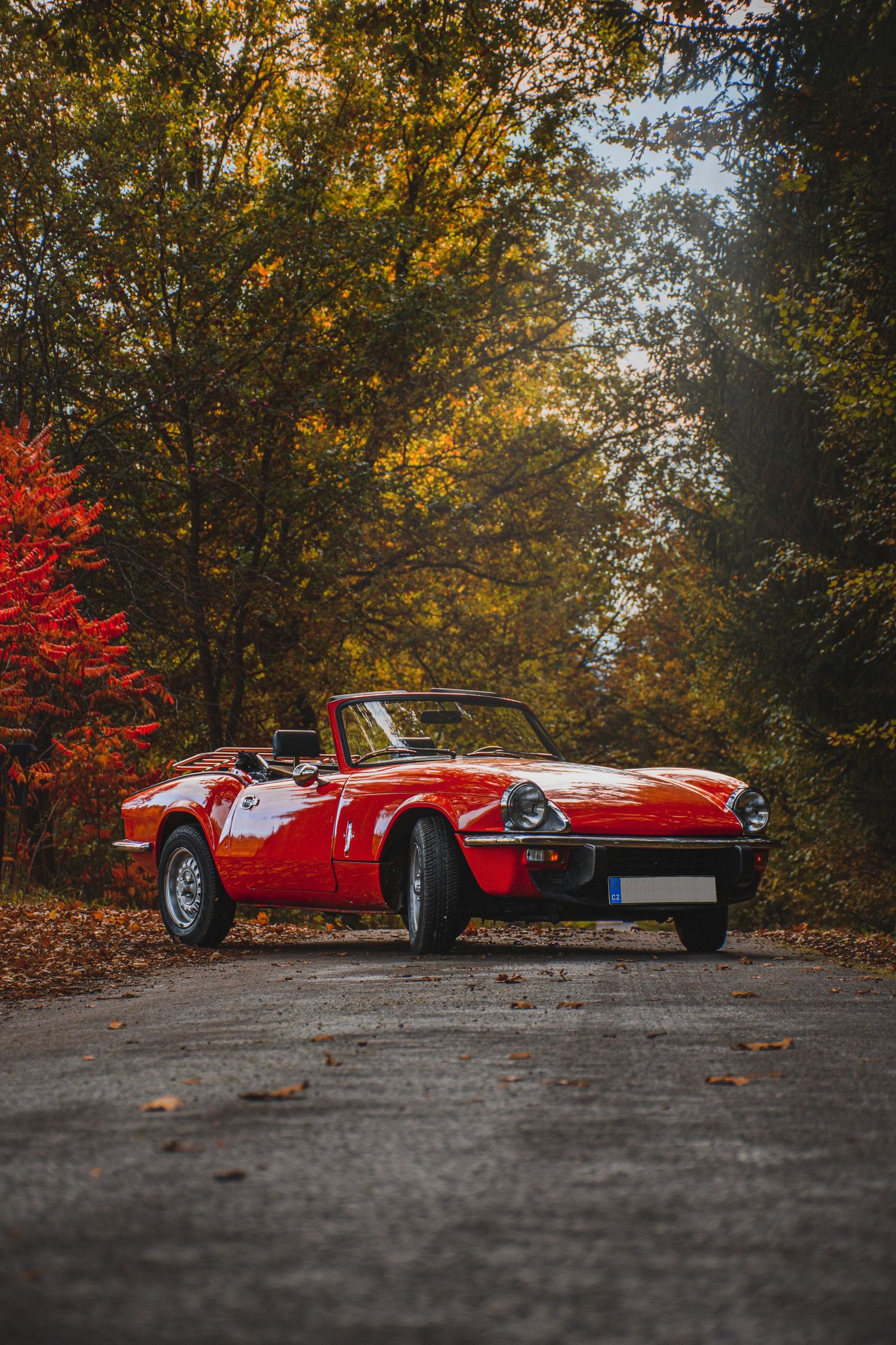 Bright red vintage convertible roadster parked on a quiet autumn forest lane.