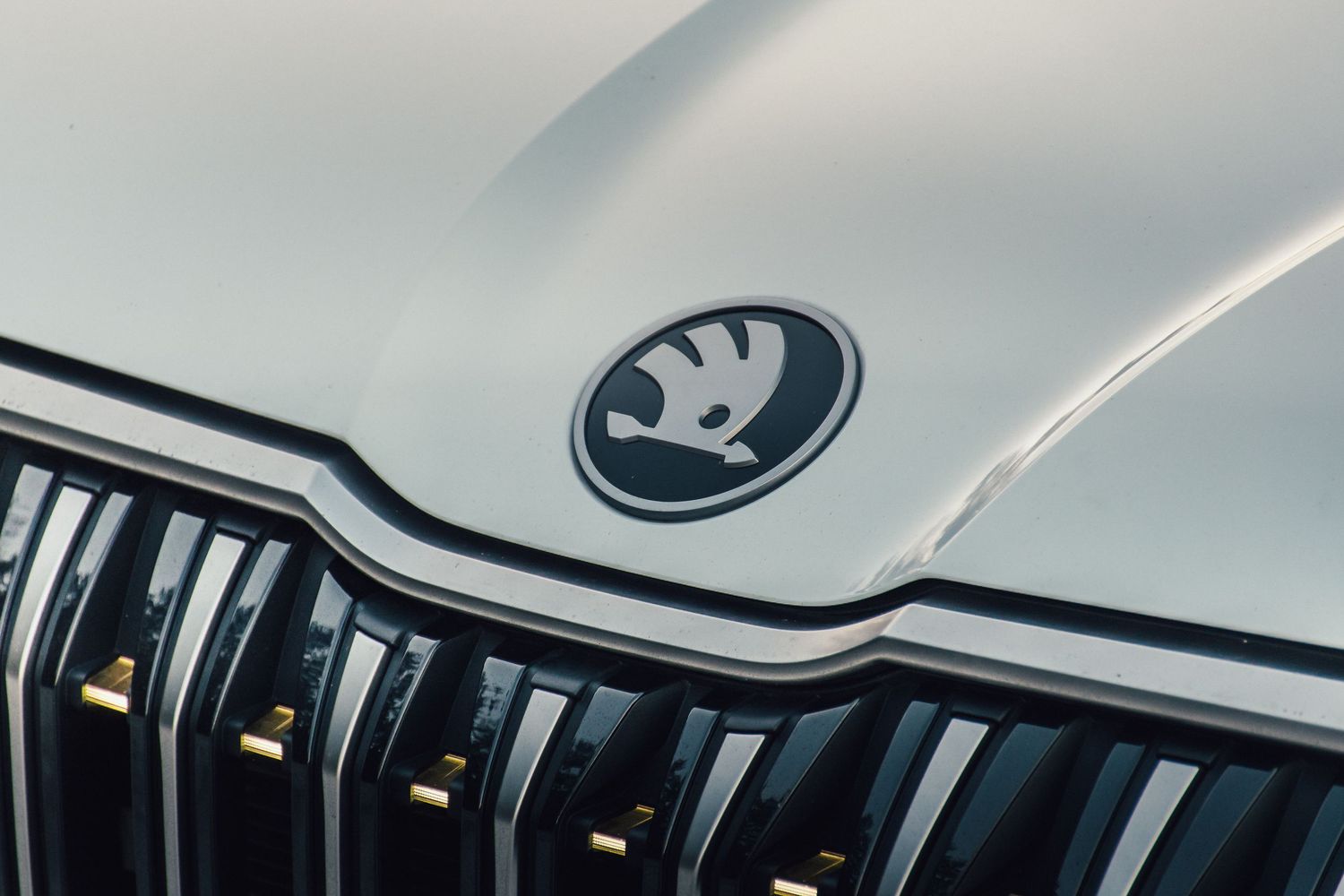 Close-up of a Skoda logo emblem on a white car hood above a black chrome grille.
