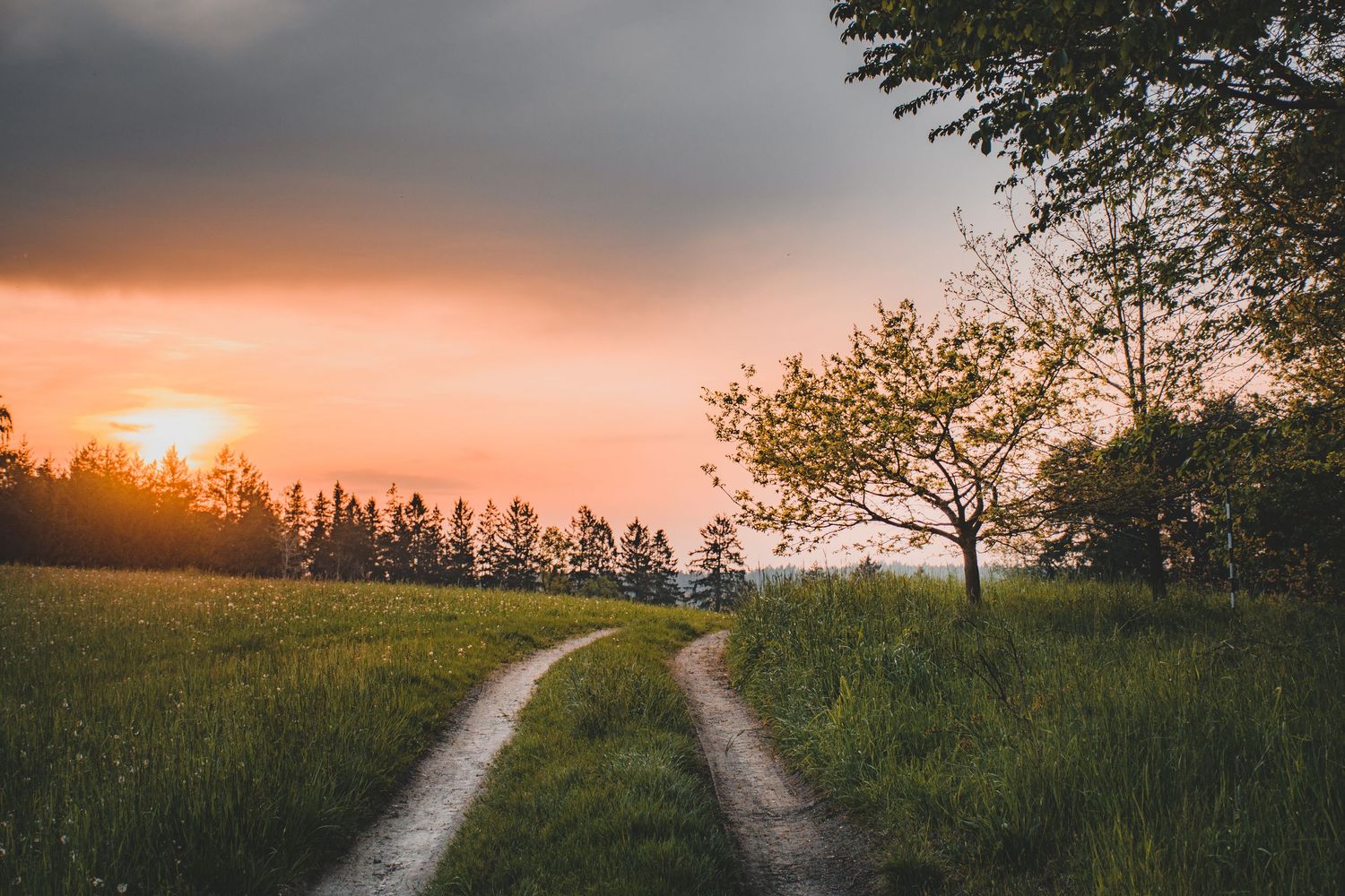 A winding dirt path leads through a lush green meadow at sunset with warm orange skies above.