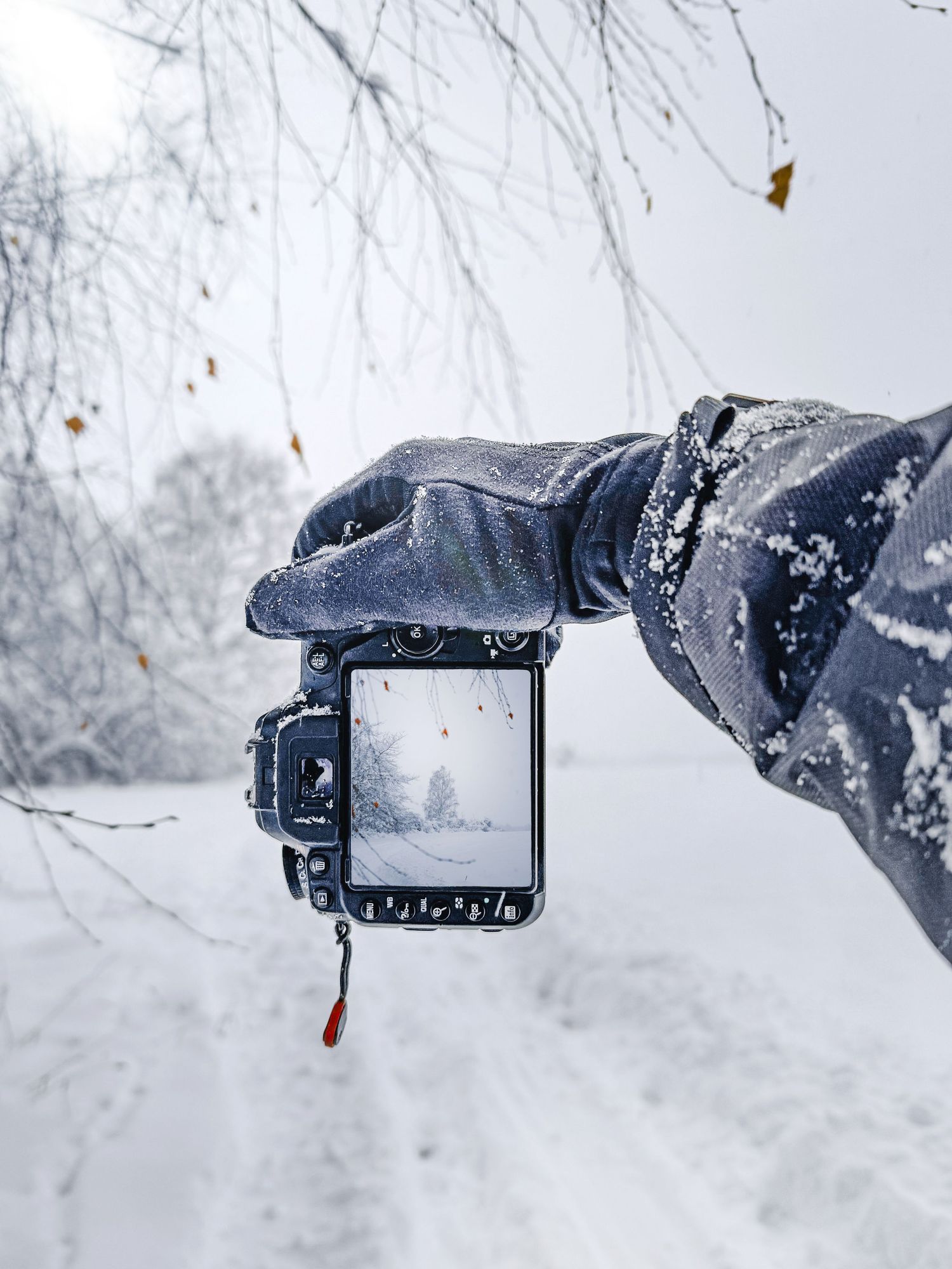 A gloved hand holds a camera in a snowy winter landscape, with the LCD screen reflecting a snow-covered forest path.