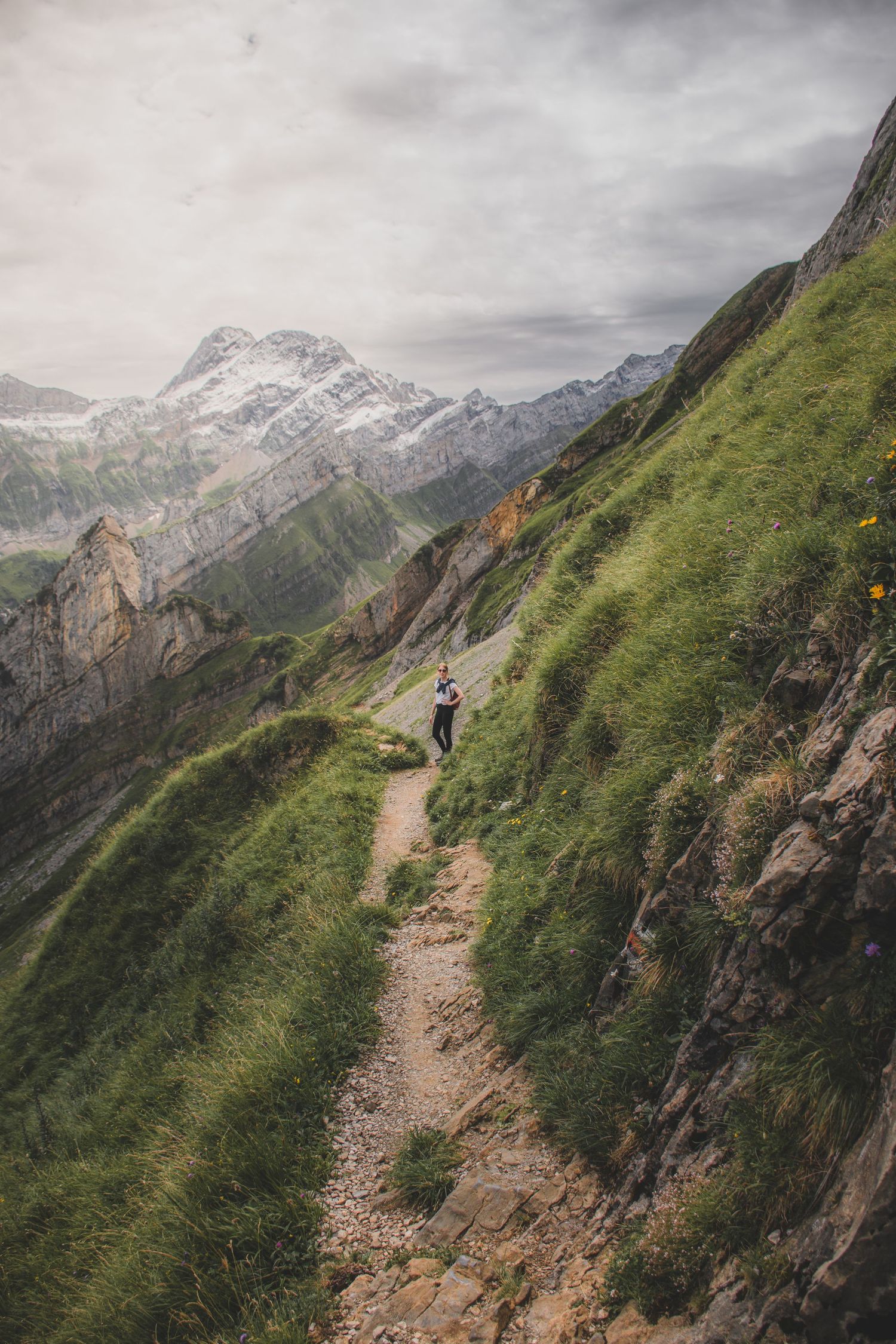 A lone hiker walks a narrow mountain path along a grassy slope with snow-capped peaks in the background.