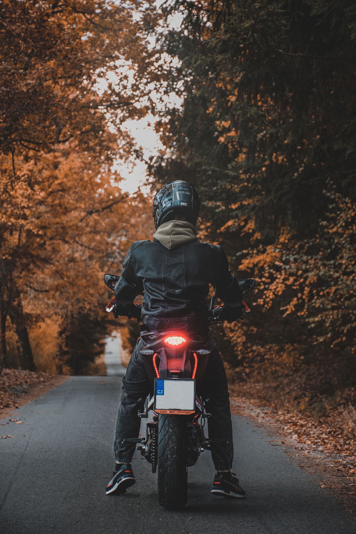 Rear view of a motorcyclist on an orange motorcycle with brake light on, riding through an autumn forest road.