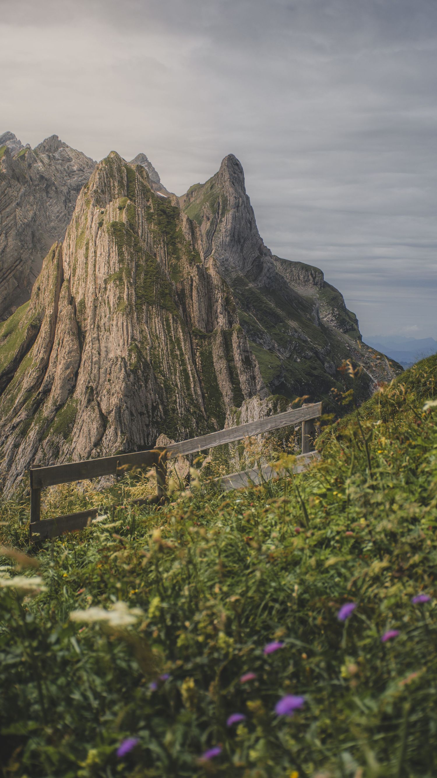 A wooden bench overlooks dramatic jagged rocky mountain peaks with wildflowers in the foreground.