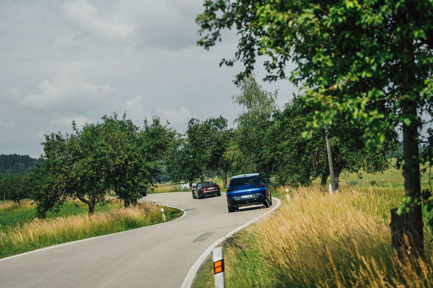 Two BMW M cars driving along a rural road flanked by trees and golden grass fields.