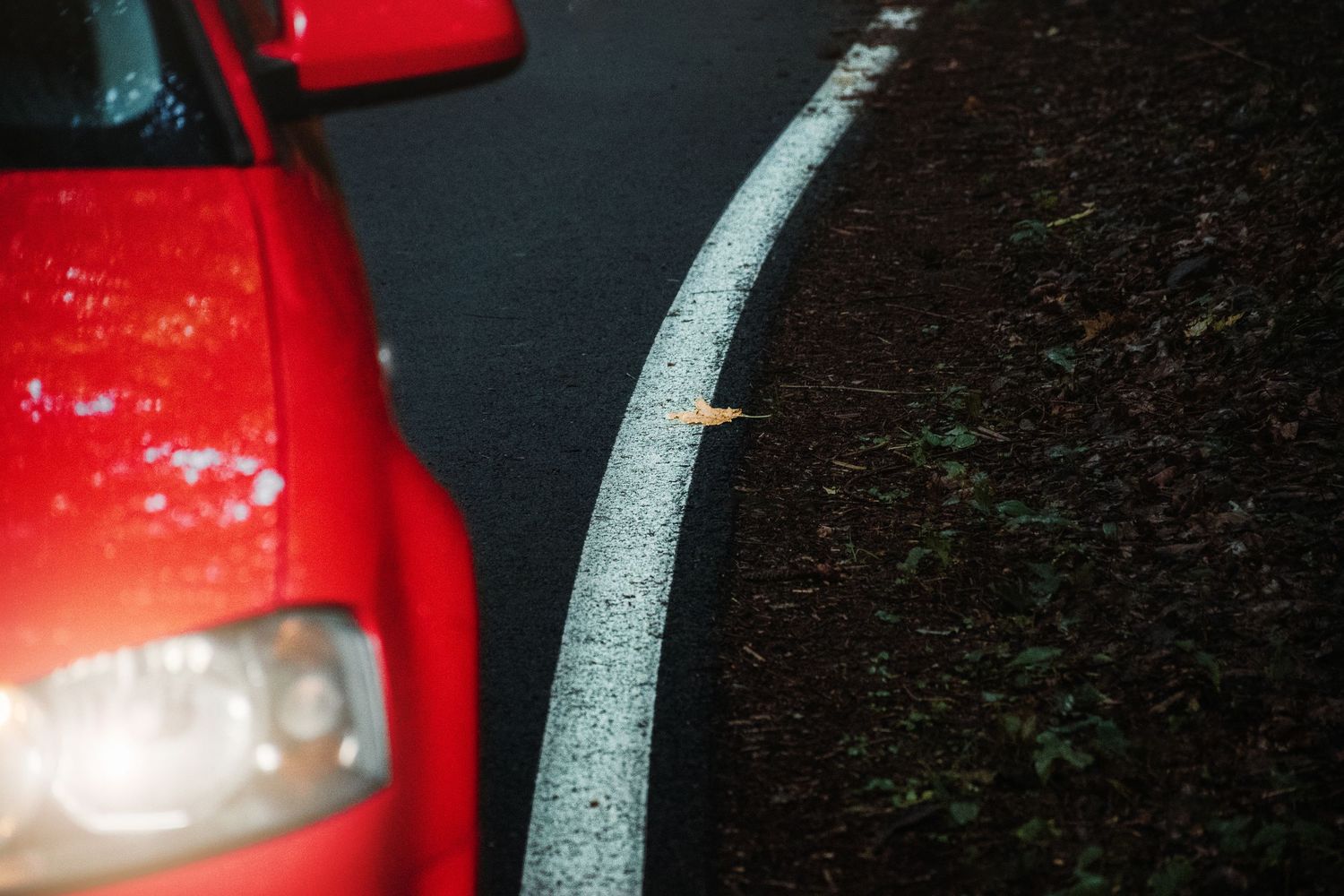 Close-up of a red car near a curved white road marking with a fallen leaf on wet asphalt.