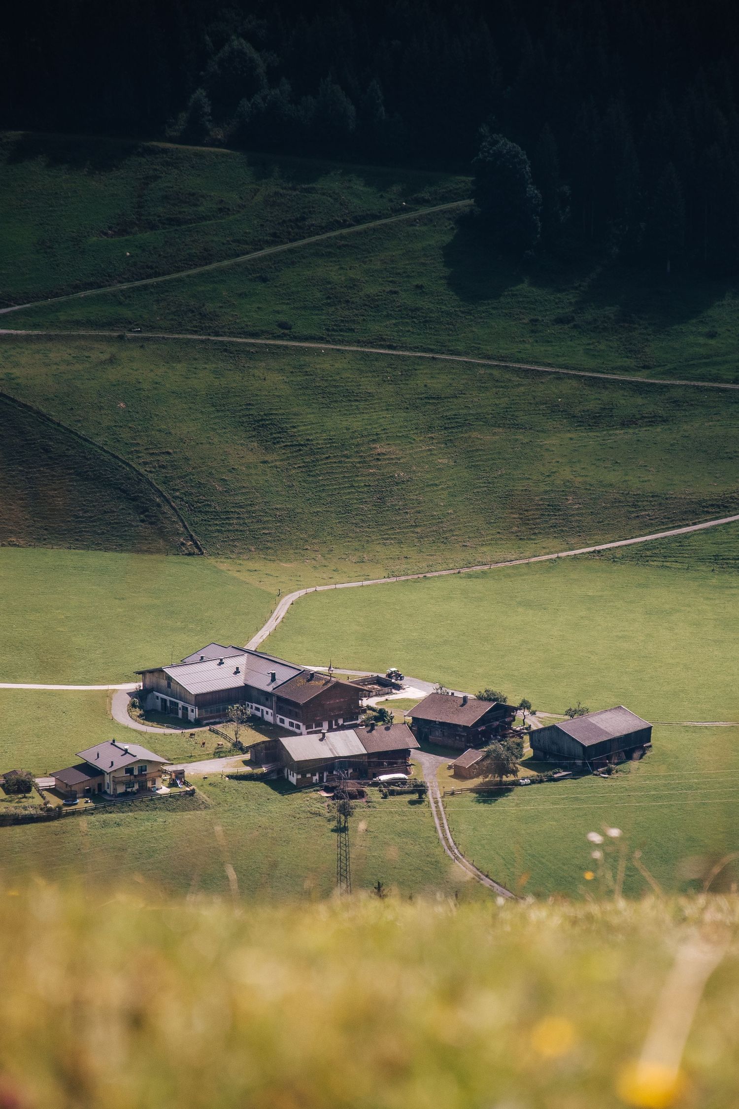 Aerial view of traditional alpine farm buildings on lush green hillside with winding paths.