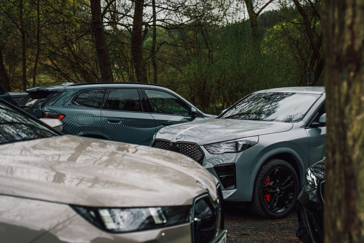 Multiple BMW electric SUVs parked closely together in a wooded area on a rainy day.
