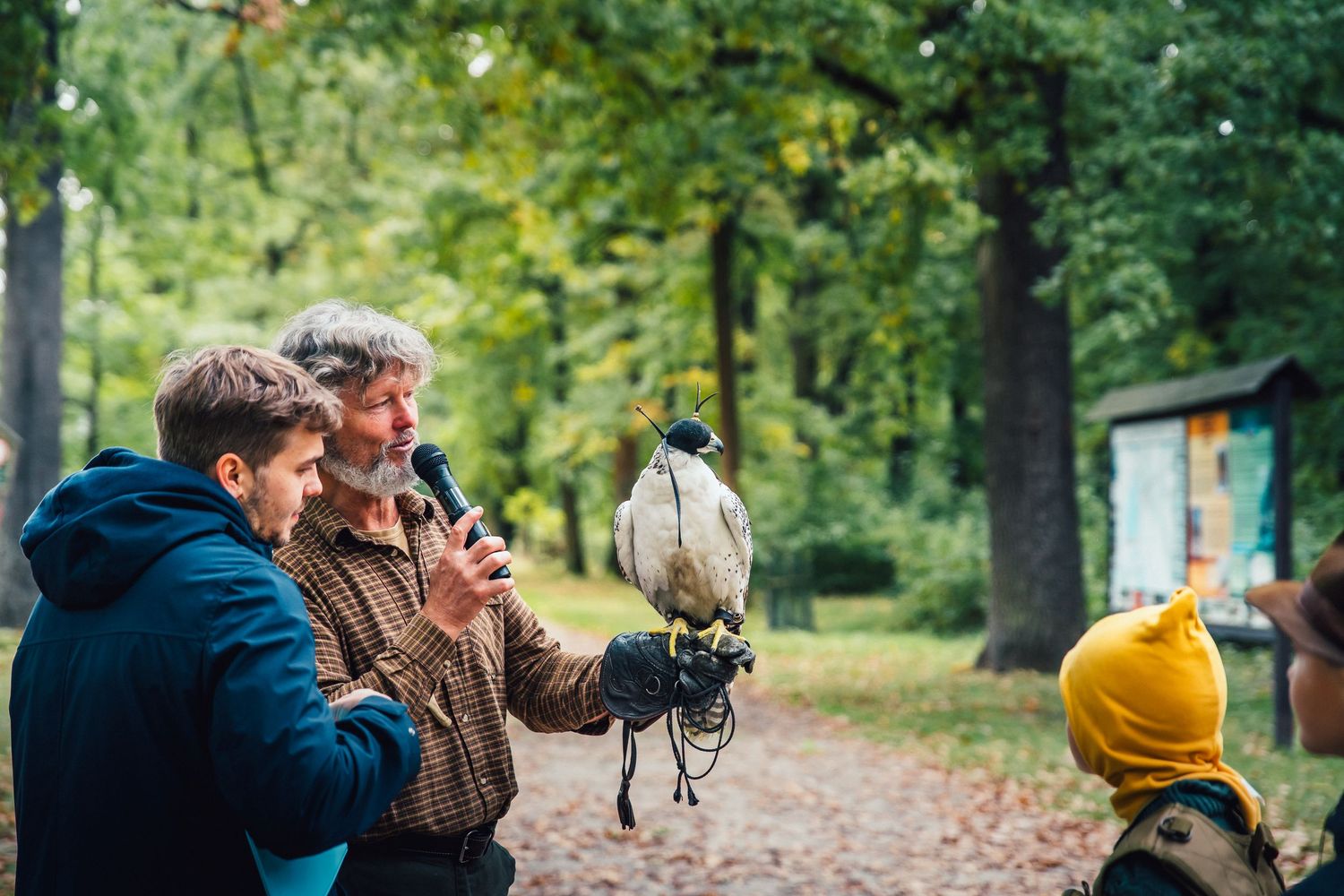 Man holds trained falcon on gloved hand while speaking to child in autumn forest park setting.