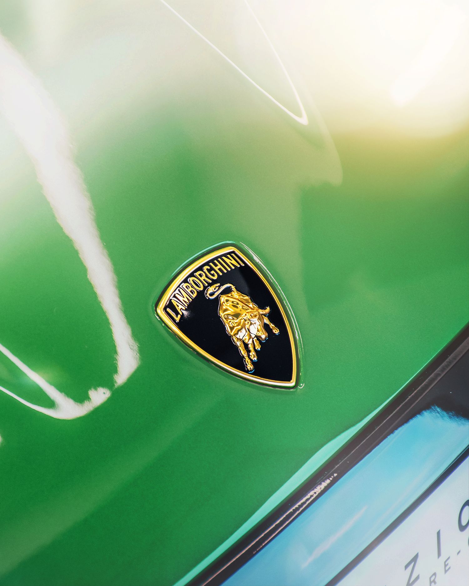 Gold Lamborghini shield logo badge on a glossy green supercar hood in sunlight.