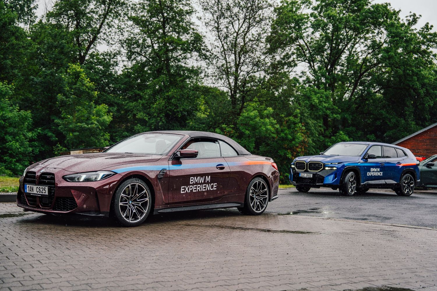 BMW M Experience convertible and SUV parked on wet pavement surrounded by lush green trees.