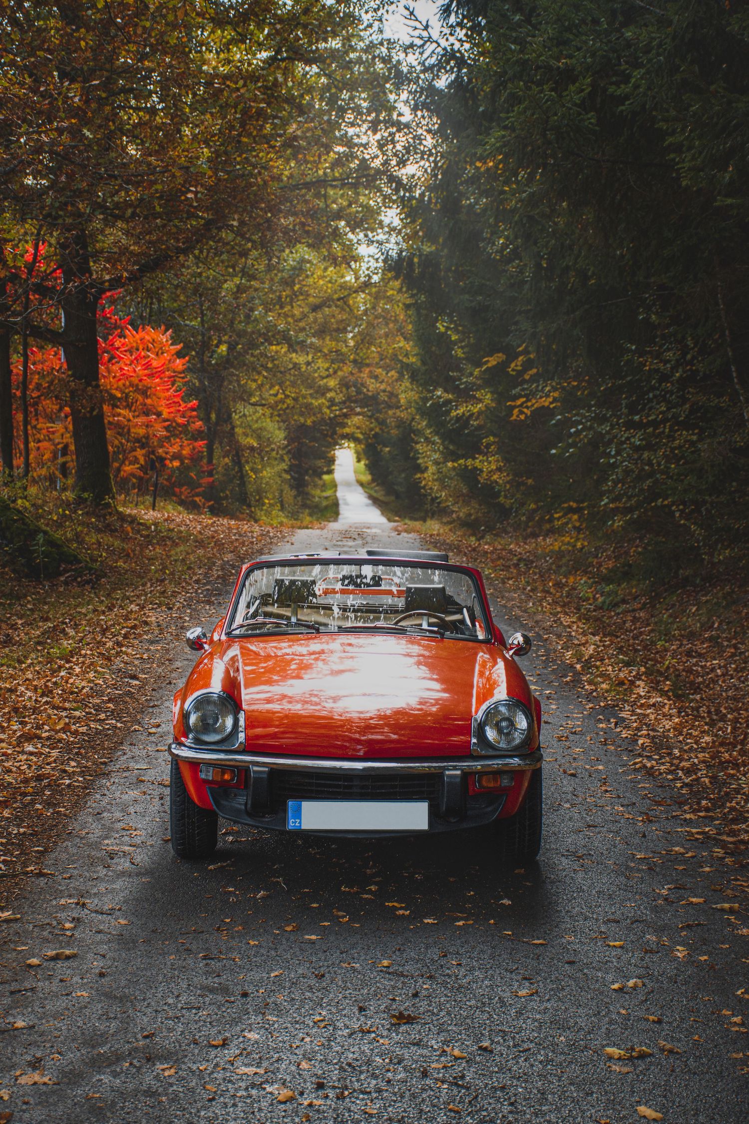 Vintage red convertible sports car on a tree-lined autumn road with colorful foliage.
