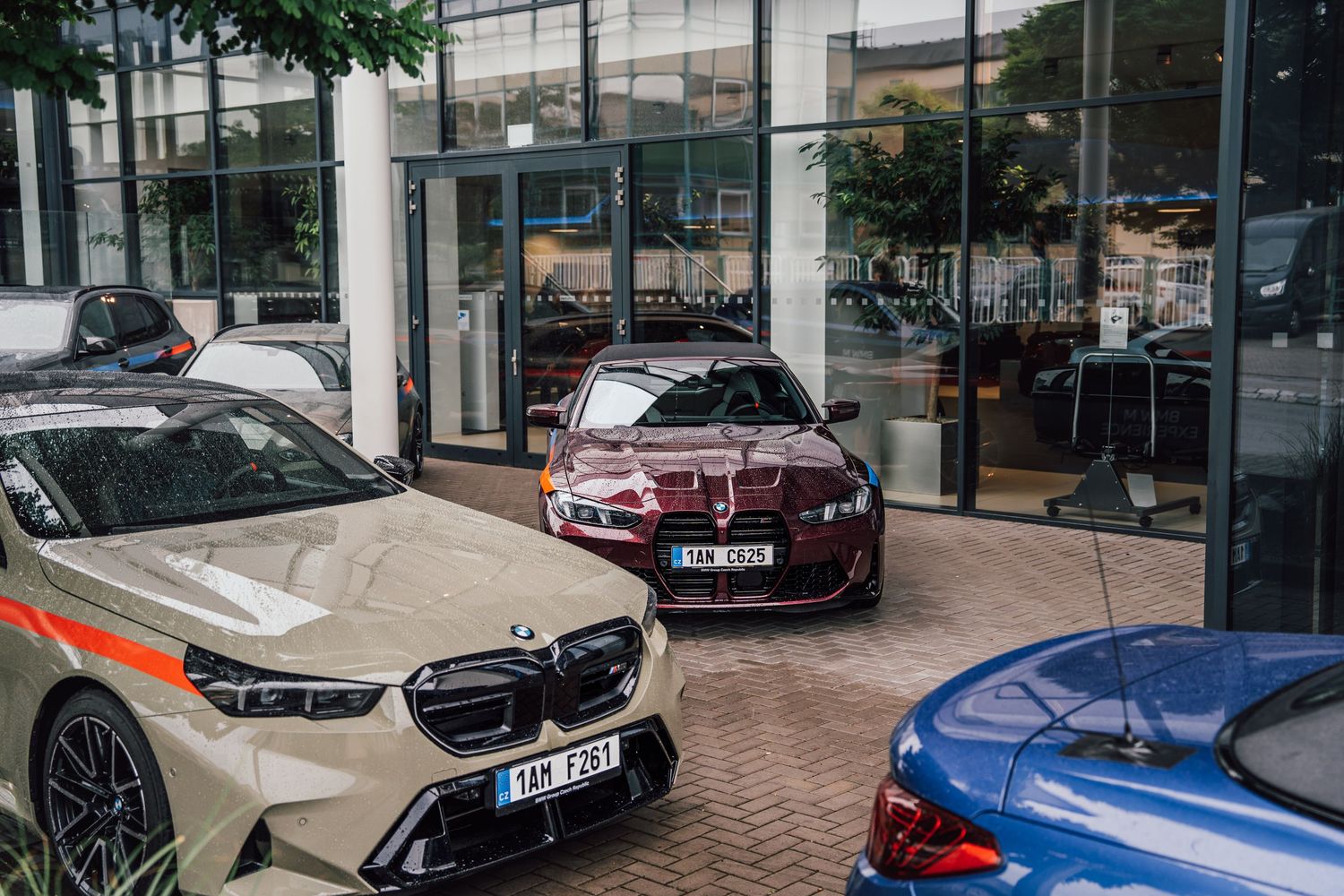 Multiple BMW M models including an M2 displayed inside a modern BMW dealership showroom.