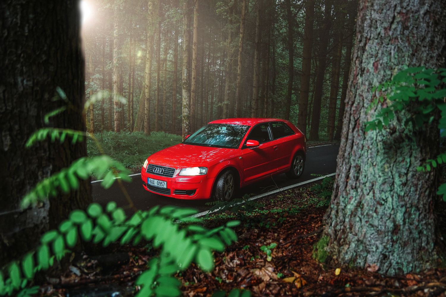 Red Audi RS3 hatchback parked on a narrow road surrounded by dense green forest trees.