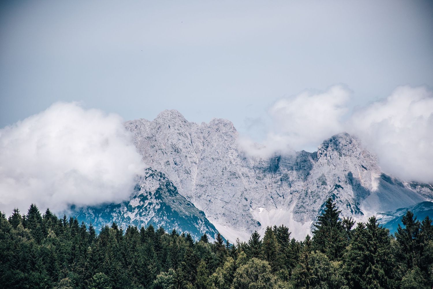 Snow-capped rocky mountain peaks emerging through white clouds above dense evergreen forest.