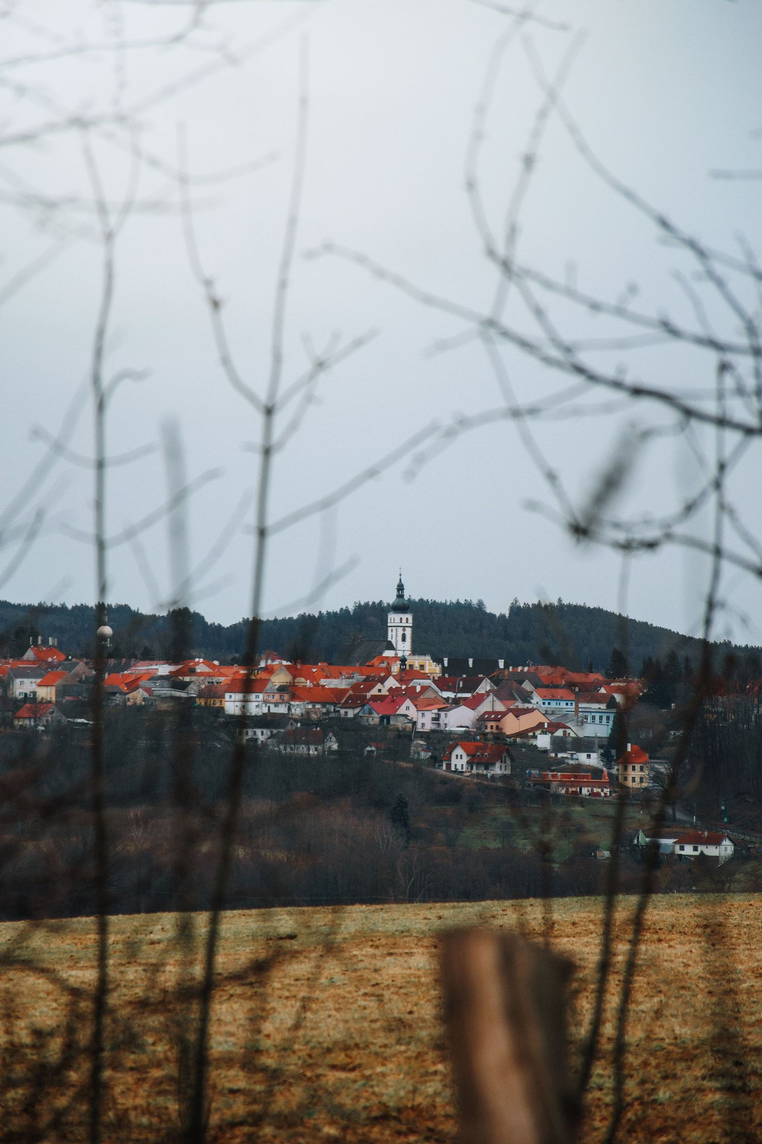 Distant hilltop village with red roofs and white church tower viewed through blurred bare winter branches.