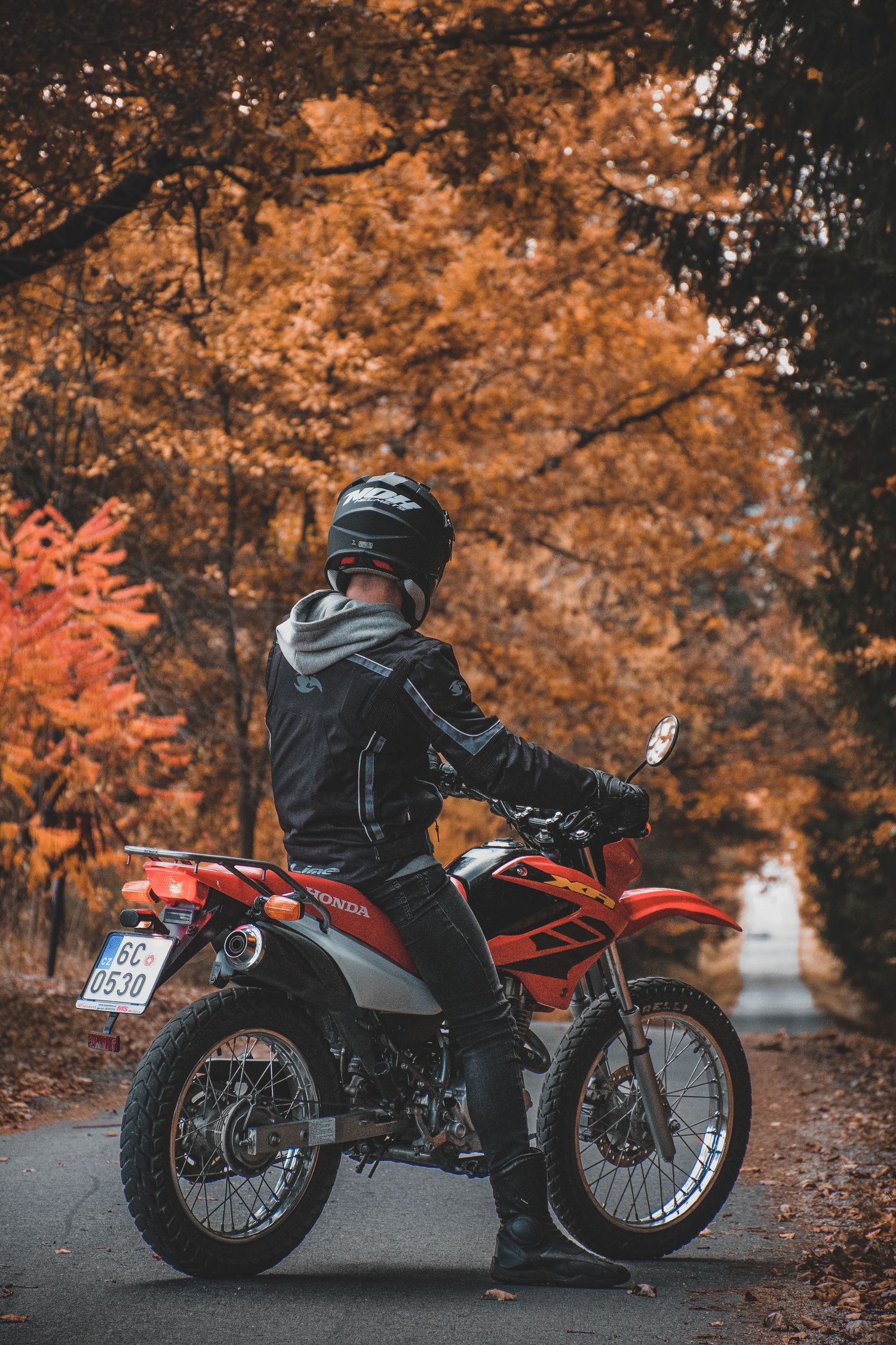 Rider on red Honda dirt bike parked on road surrounded by vibrant autumn foliage.