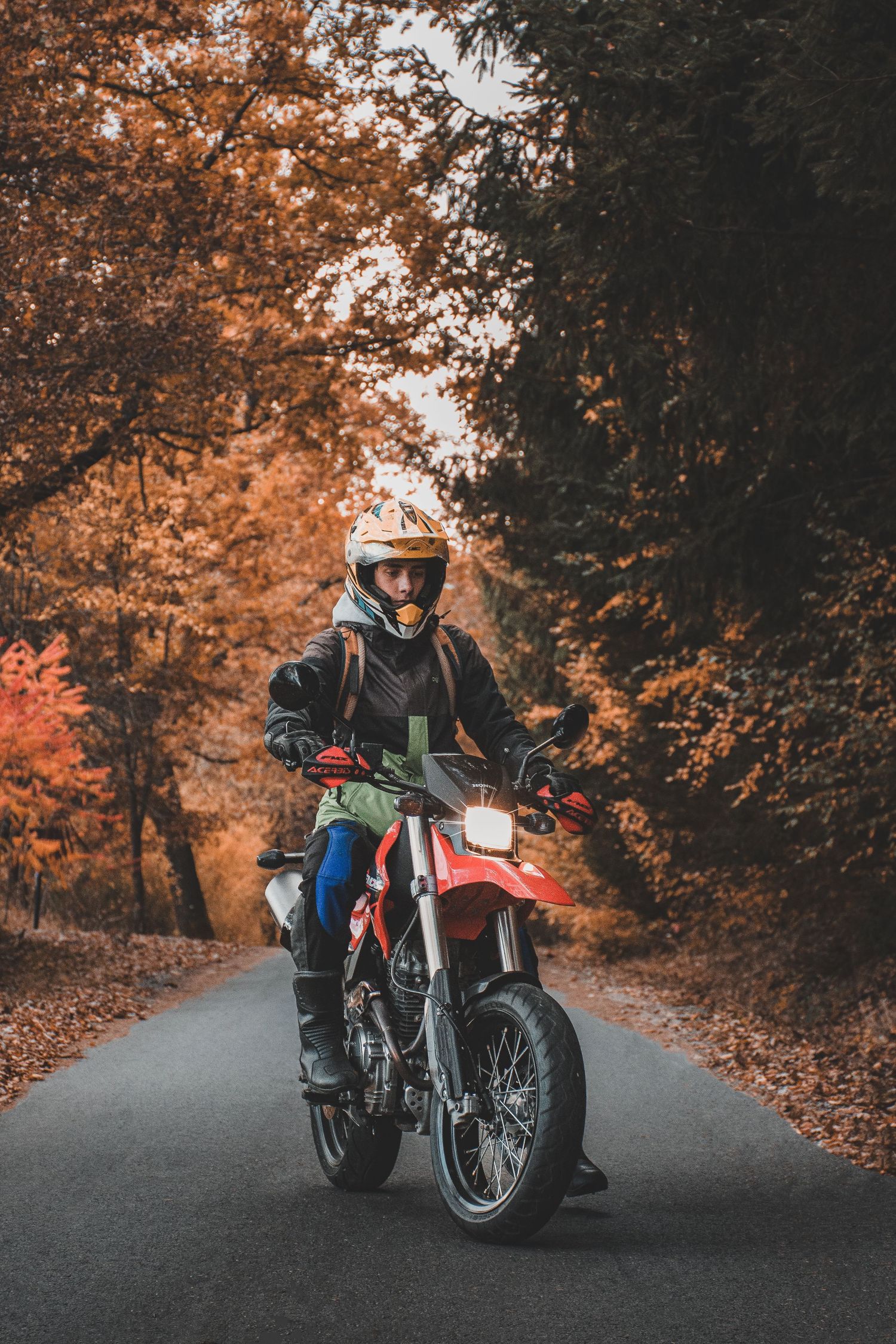 Rider in colorful gear on a red dirt bike on a scenic autumn tree-lined road with fallen leaves.