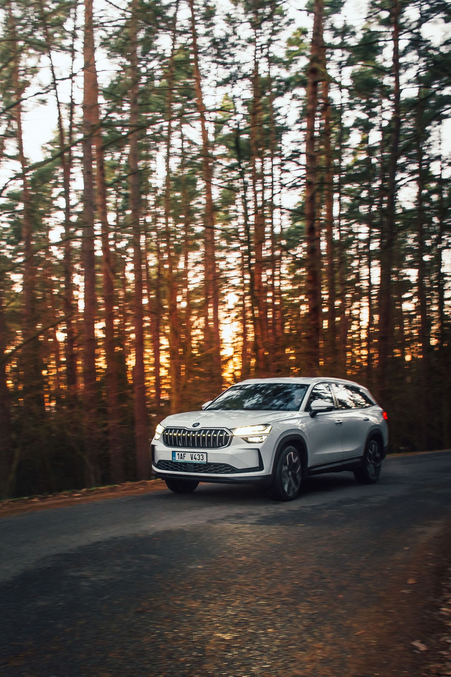 White Skoda SUV parked on a forest road bathed in golden sunset light through tall pine trees.