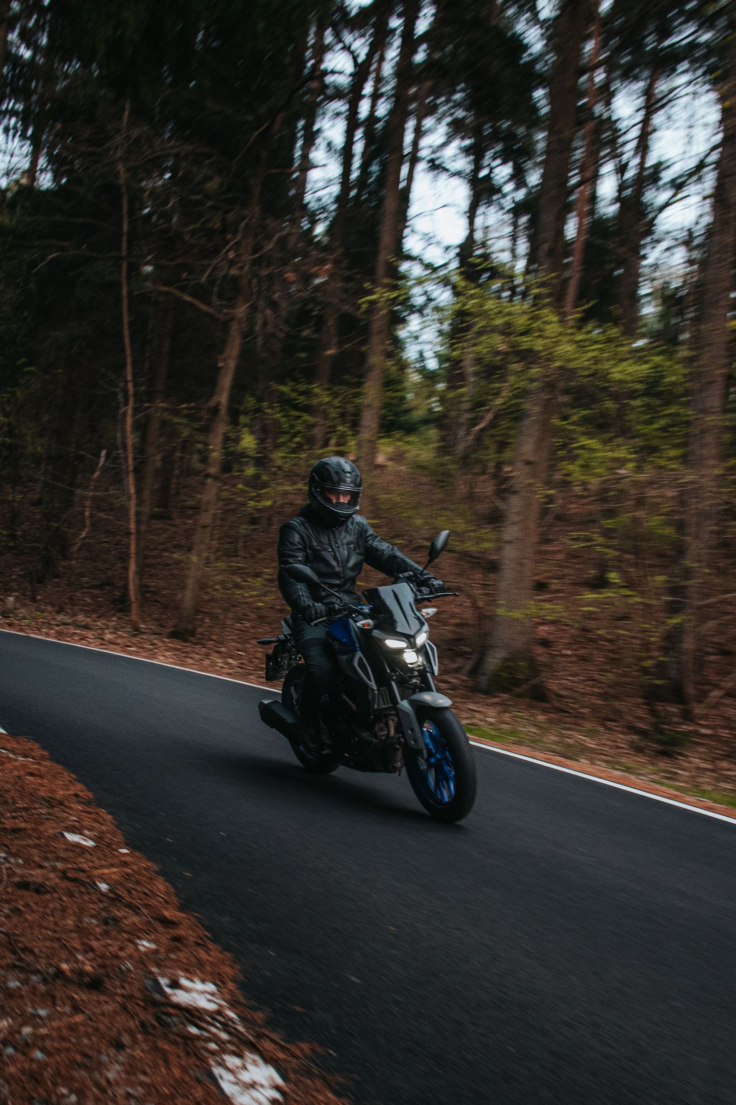 Motorcyclist in leather jacket riding blue sport bike on forest road.