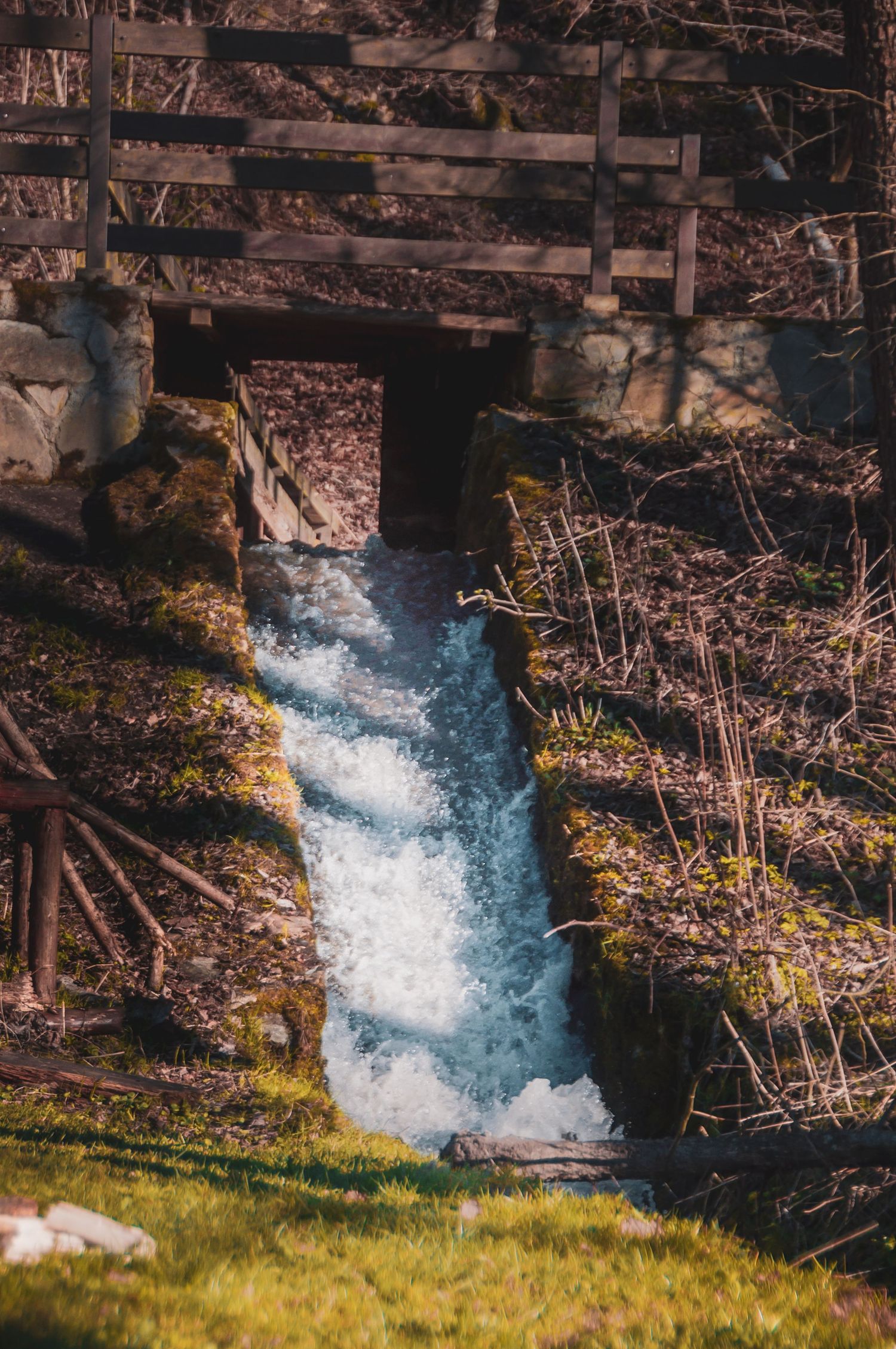 A rushing stream flows under a wooden bridge surrounded by moss-covered banks and bare trees in a forest setting.