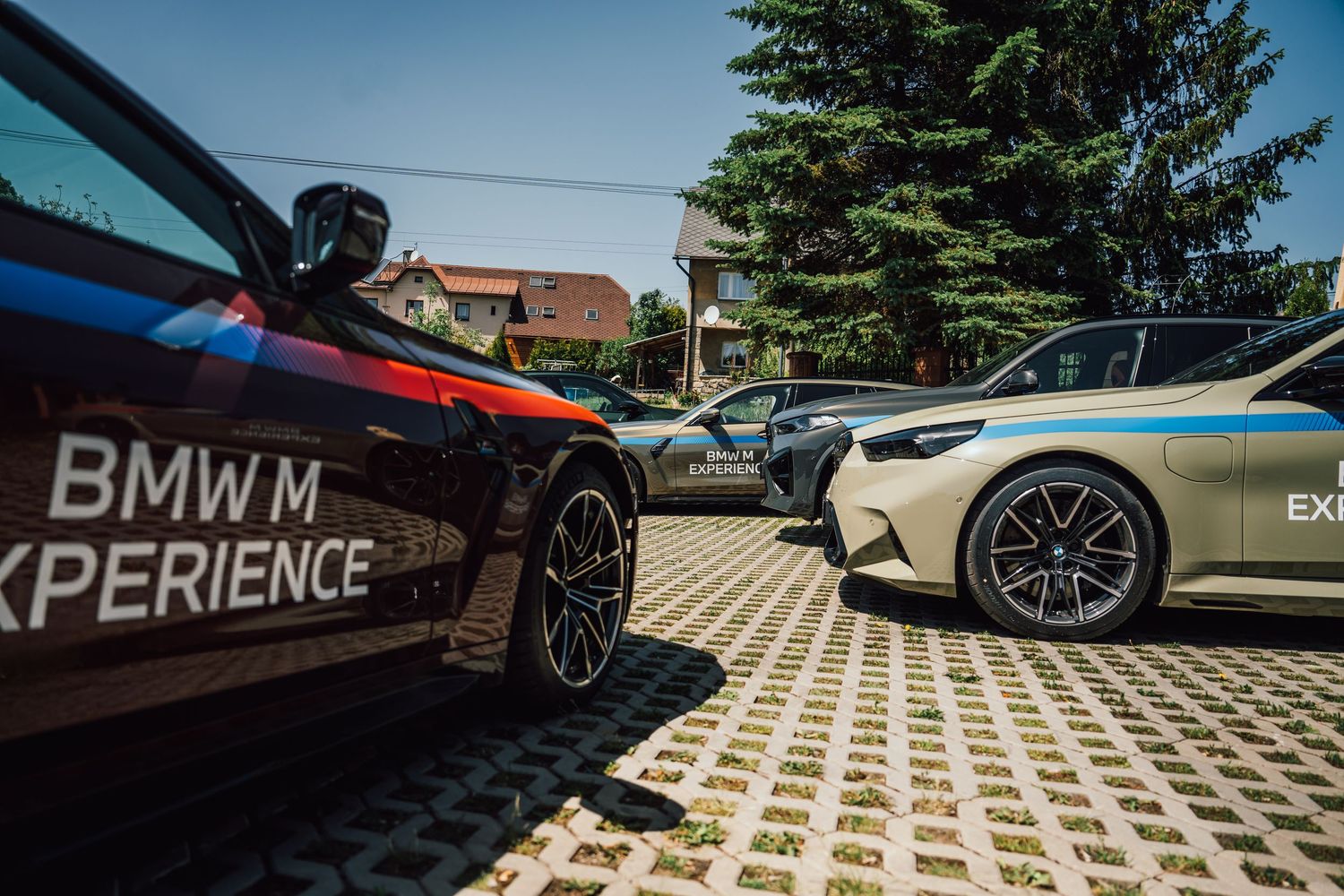 Row of BMW M Experience branded cars parked on cobblestones in bright sunlight.
