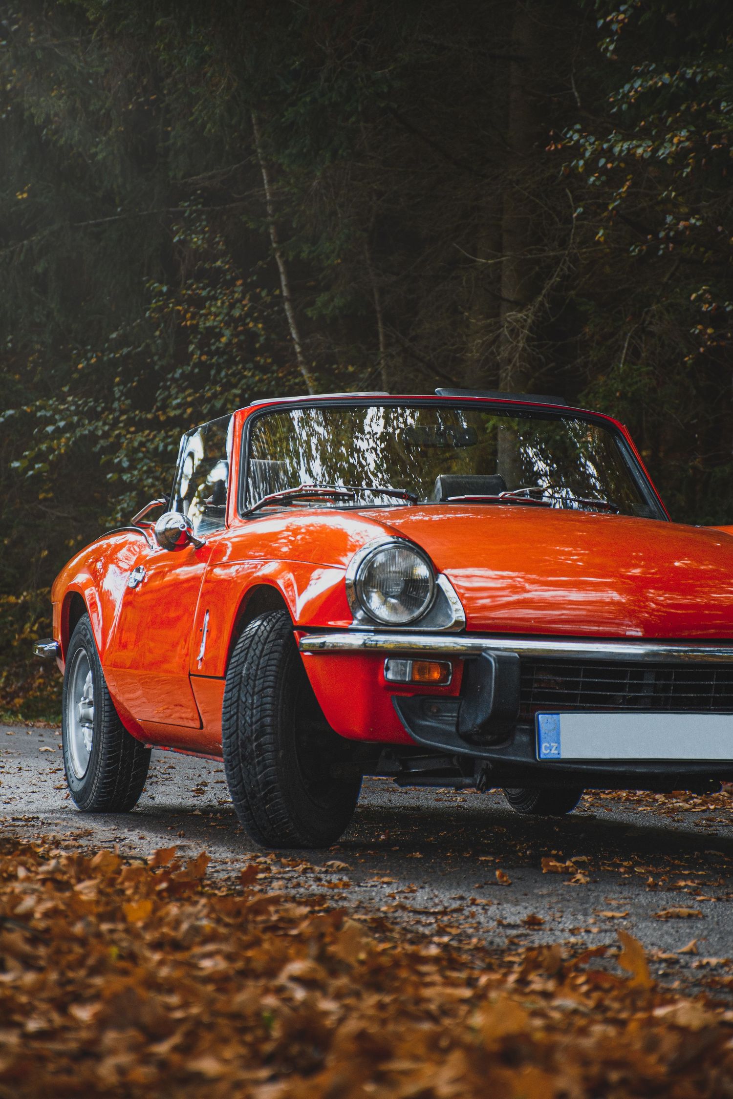 Red classic convertible sports car parked on a forest road surrounded by autumn leaves.