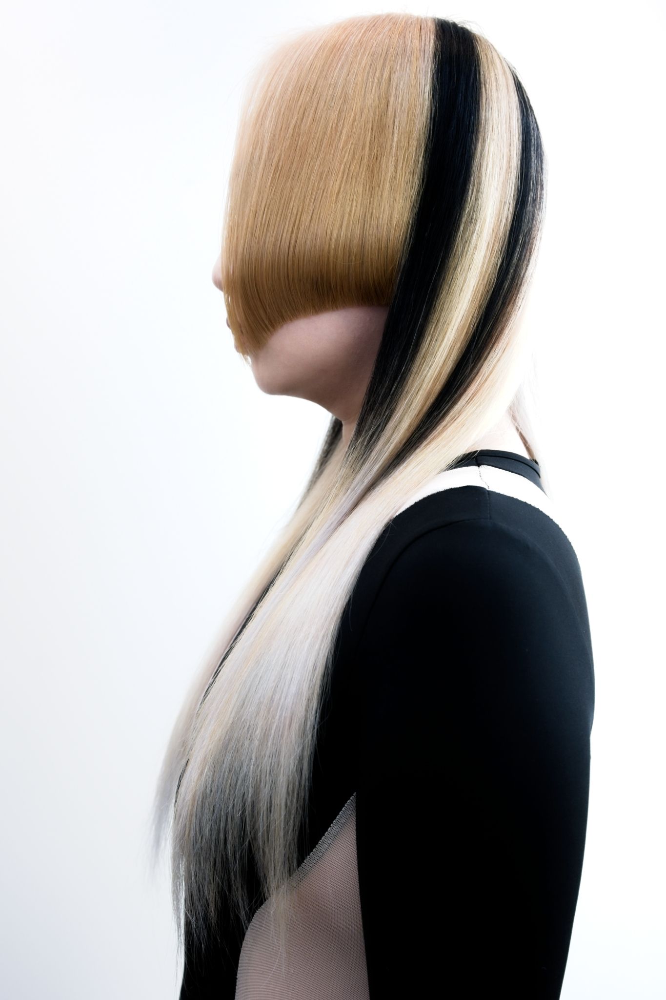 Fancy hair done by Infinity Terneuzen for the OneShotHair Awards