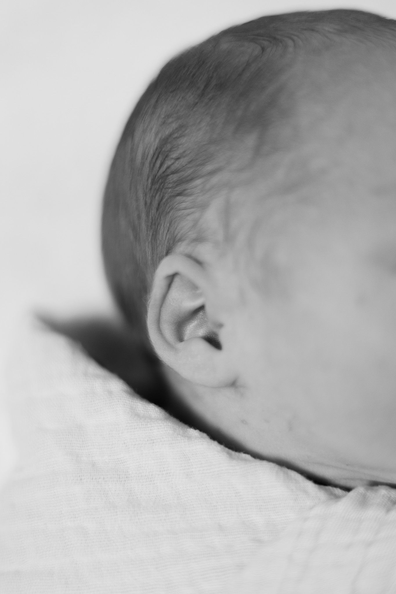 Close-up black and white photo of a sleeping newborn baby's ear and head resting on a soft white blanket.