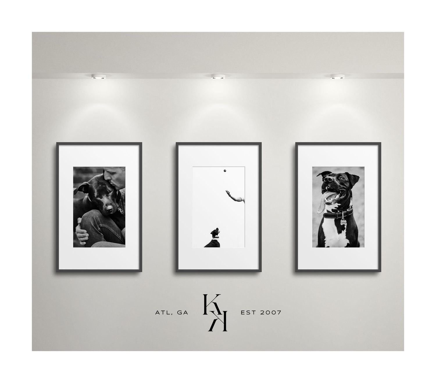 Atlanta gallery wall of artistic pet photography