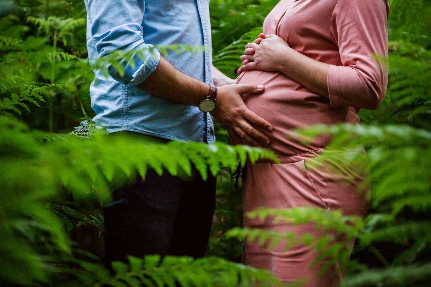 A romantic maternity photo taken through green ferns showing expectant parents hands on a pregnant belly.
