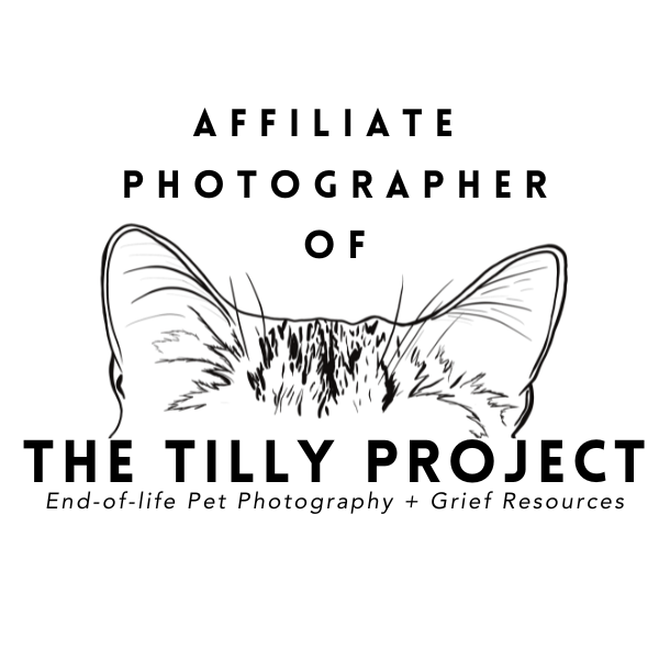 Simple black line drawing of a decorative bow against a dark background.