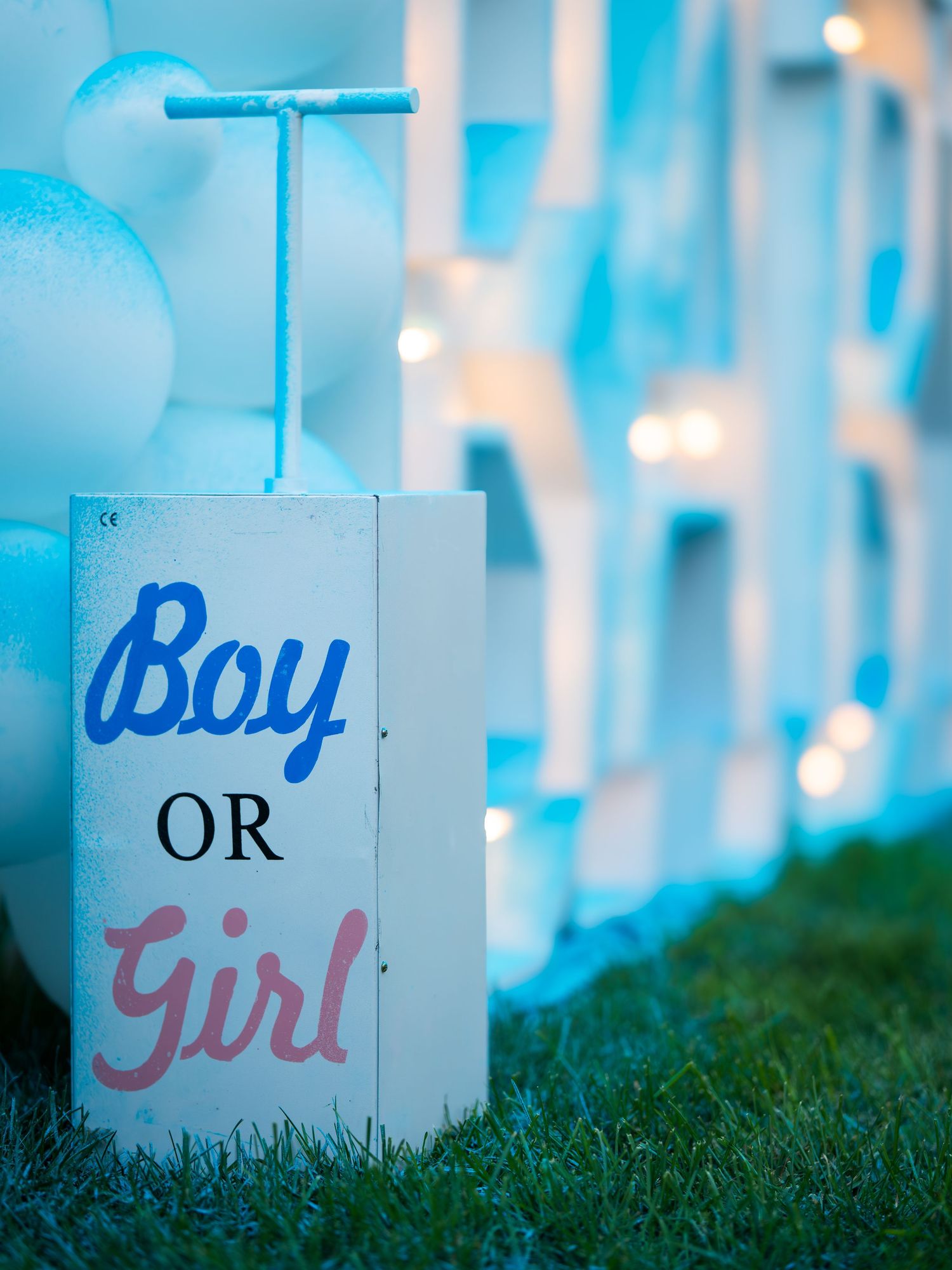 Boy or Girl sign with blue balloons at a gender reveal party decoration setup outdoors.