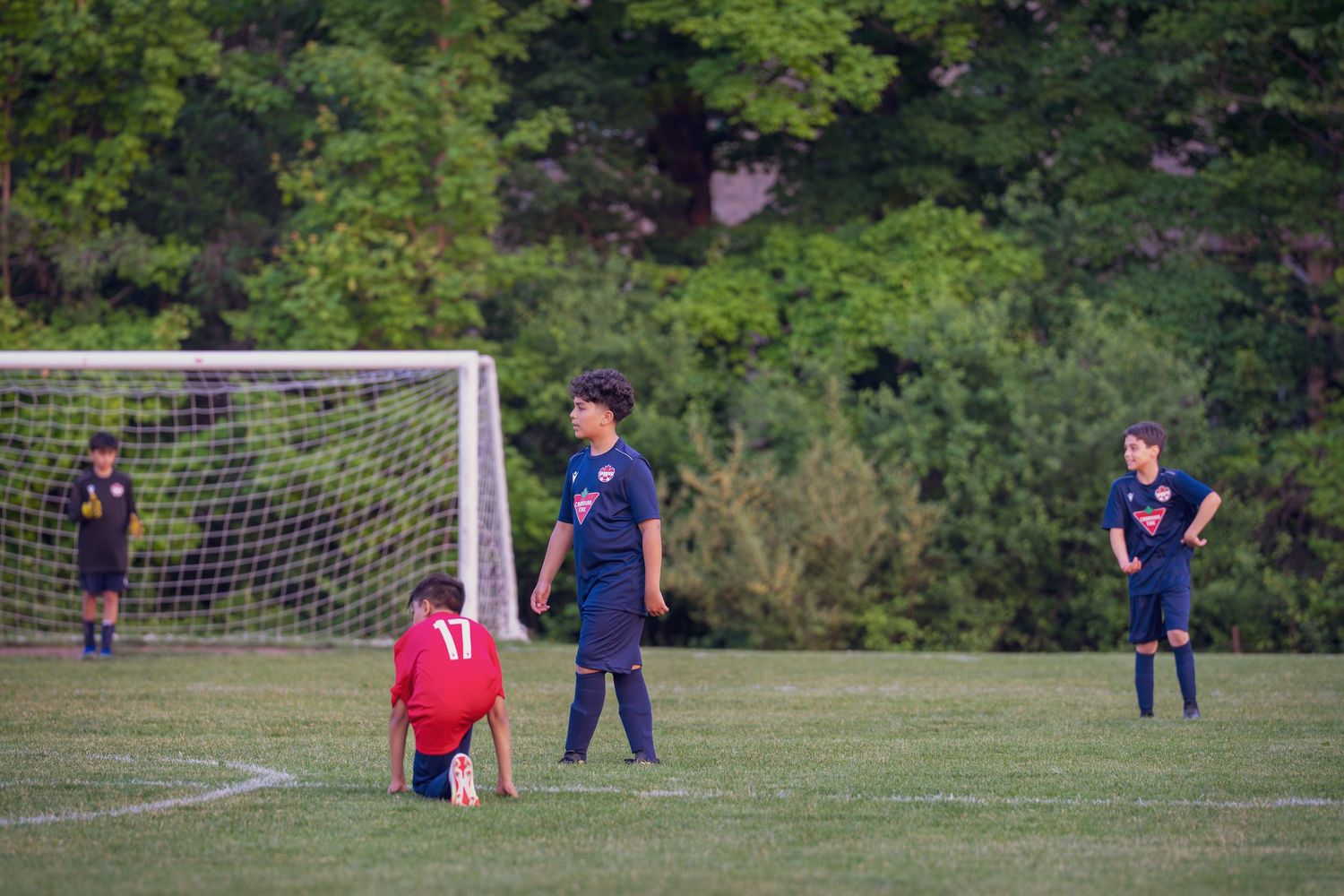 Soccer players practice on a grass field with a goal net during an evening training session.