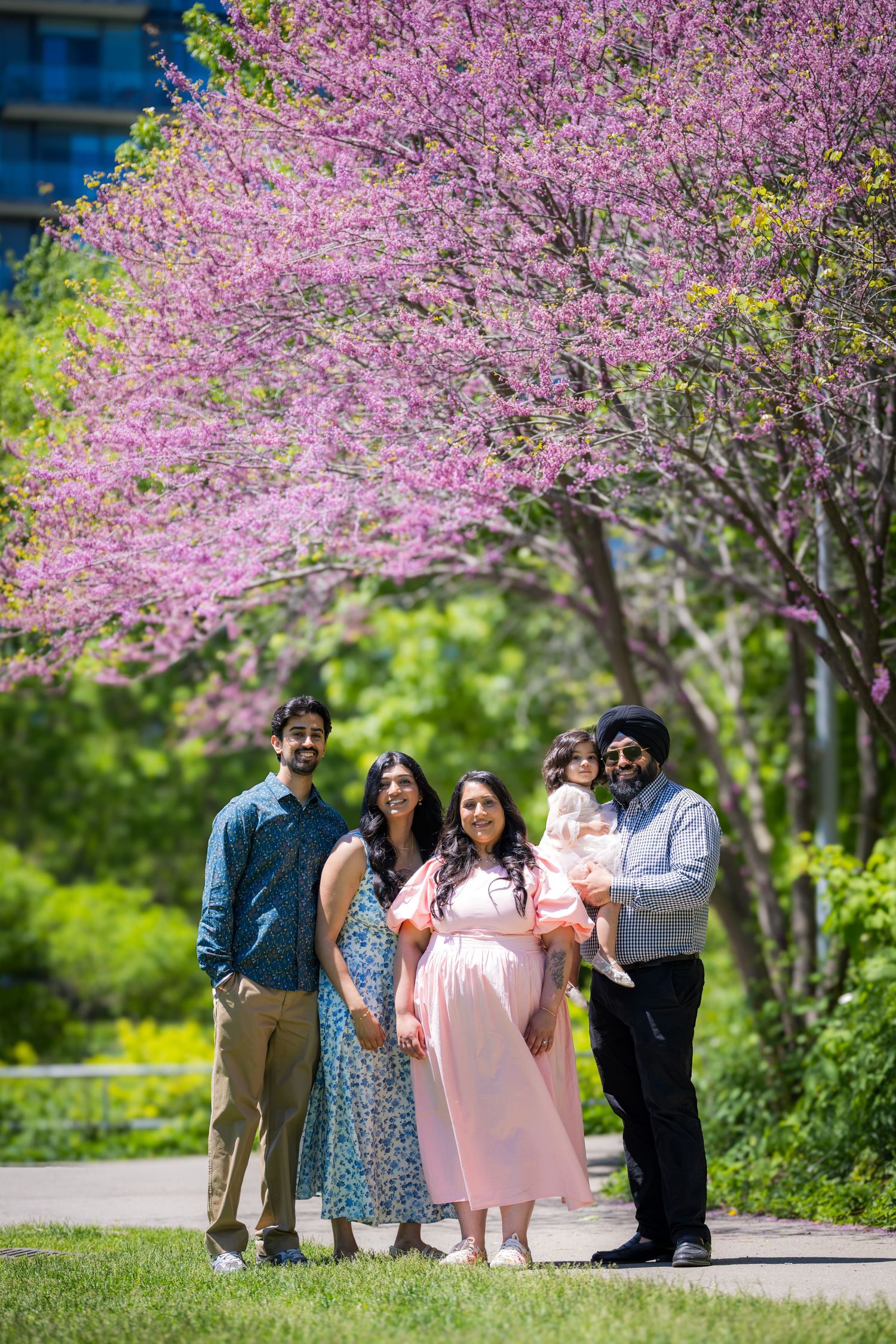 South Asian family of five posing under vibrant pink redbud trees in a sunny park.