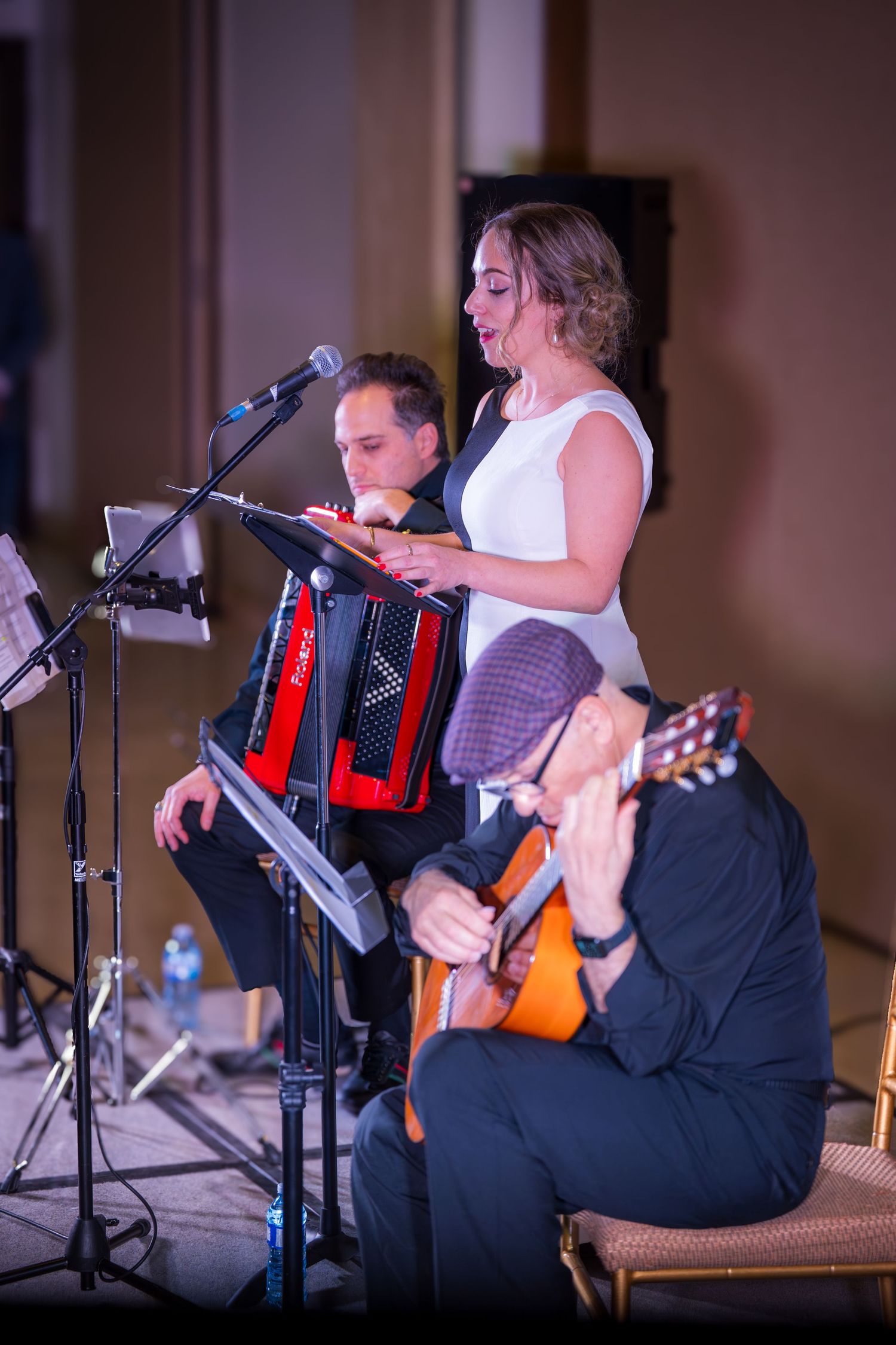 Trio of musicians performing live with accordion, vocals, and classical guitar on indoor stage.