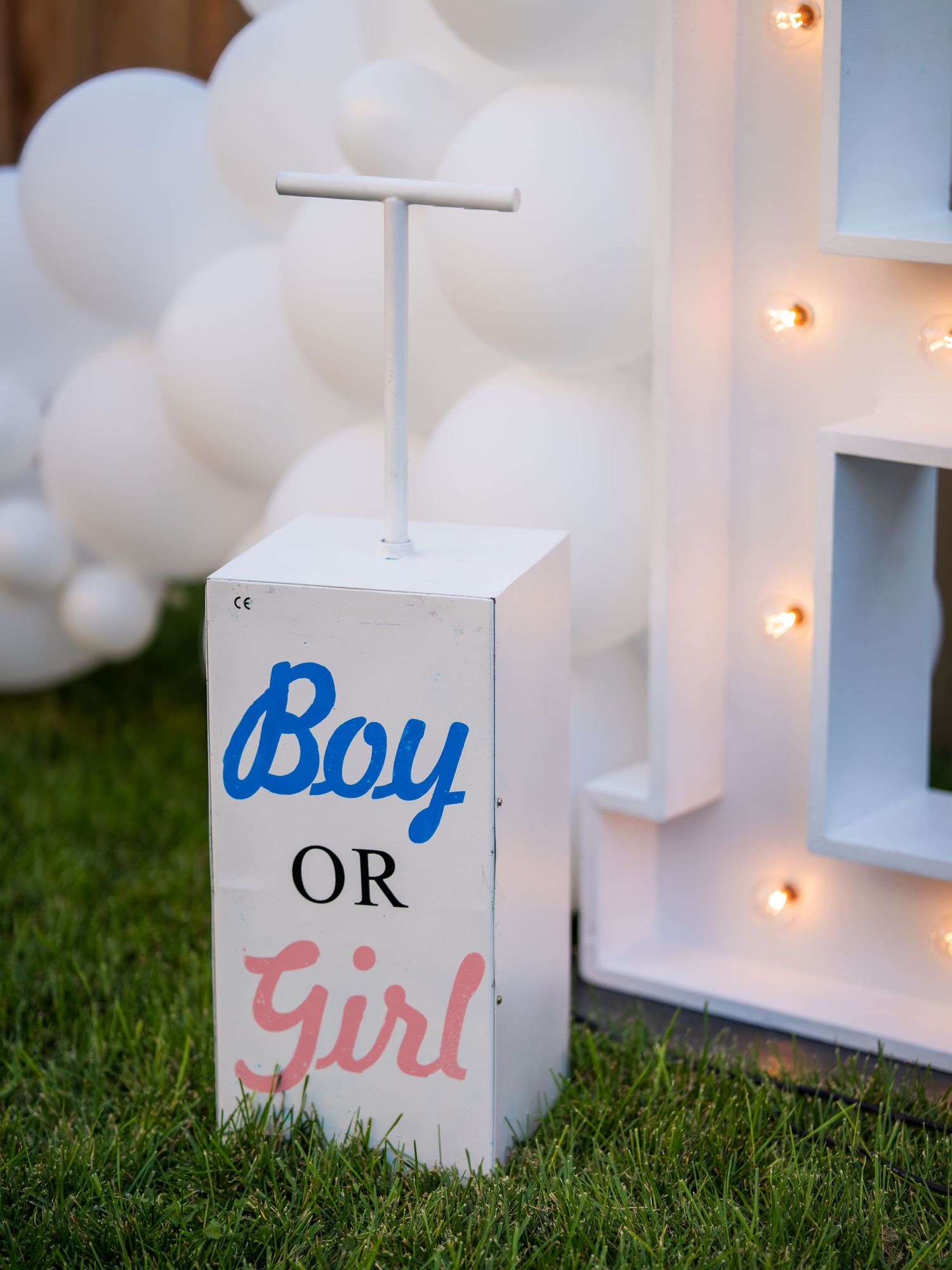 Boy or Girl gender reveal box with balloon arch and marquee letters at outdoor party.