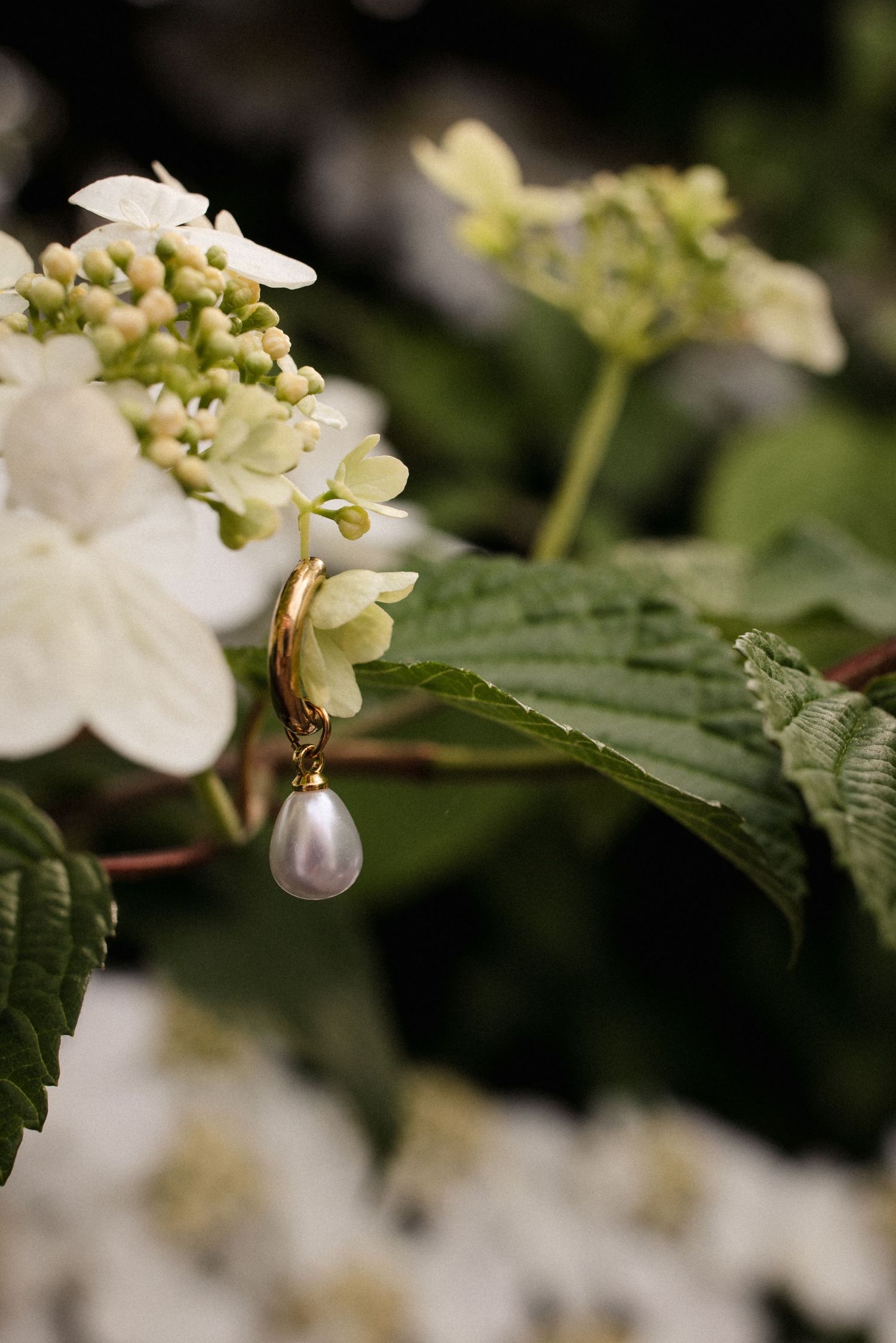 Delicate white hydrangea bloom with a teardrop pearl earring hanging from a flower in a soft garden setting.