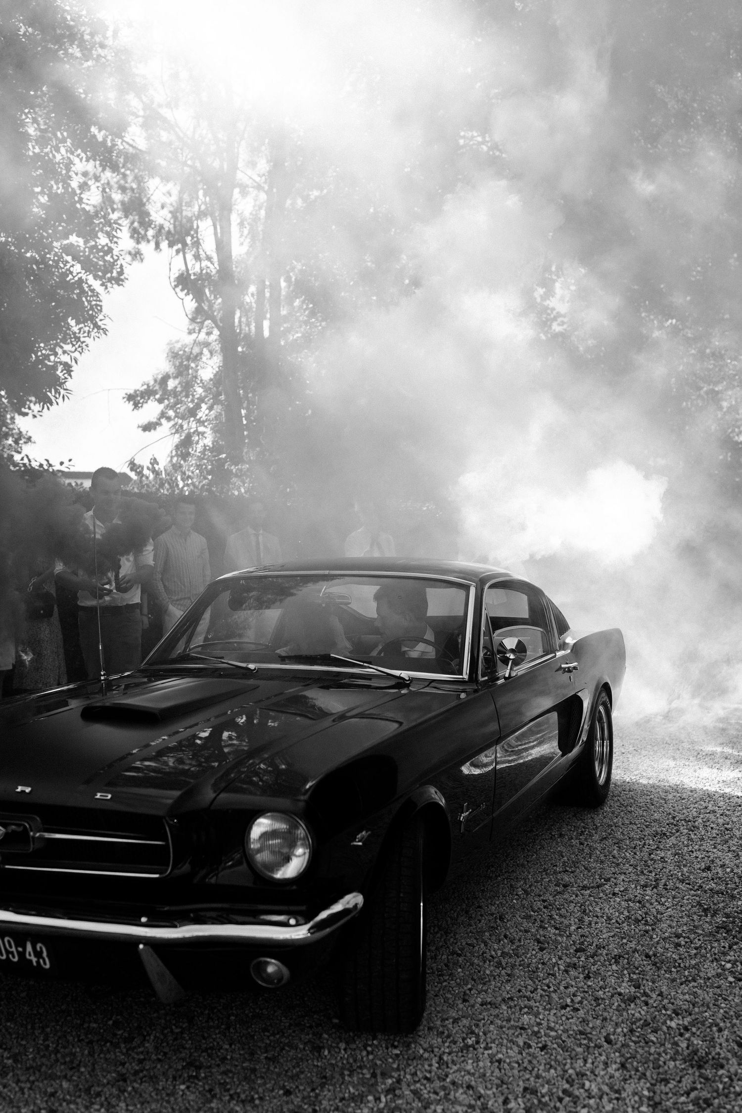 Classic Ford Mustang fastback in black photographed in dramatic black and white with misty atmospheric background.