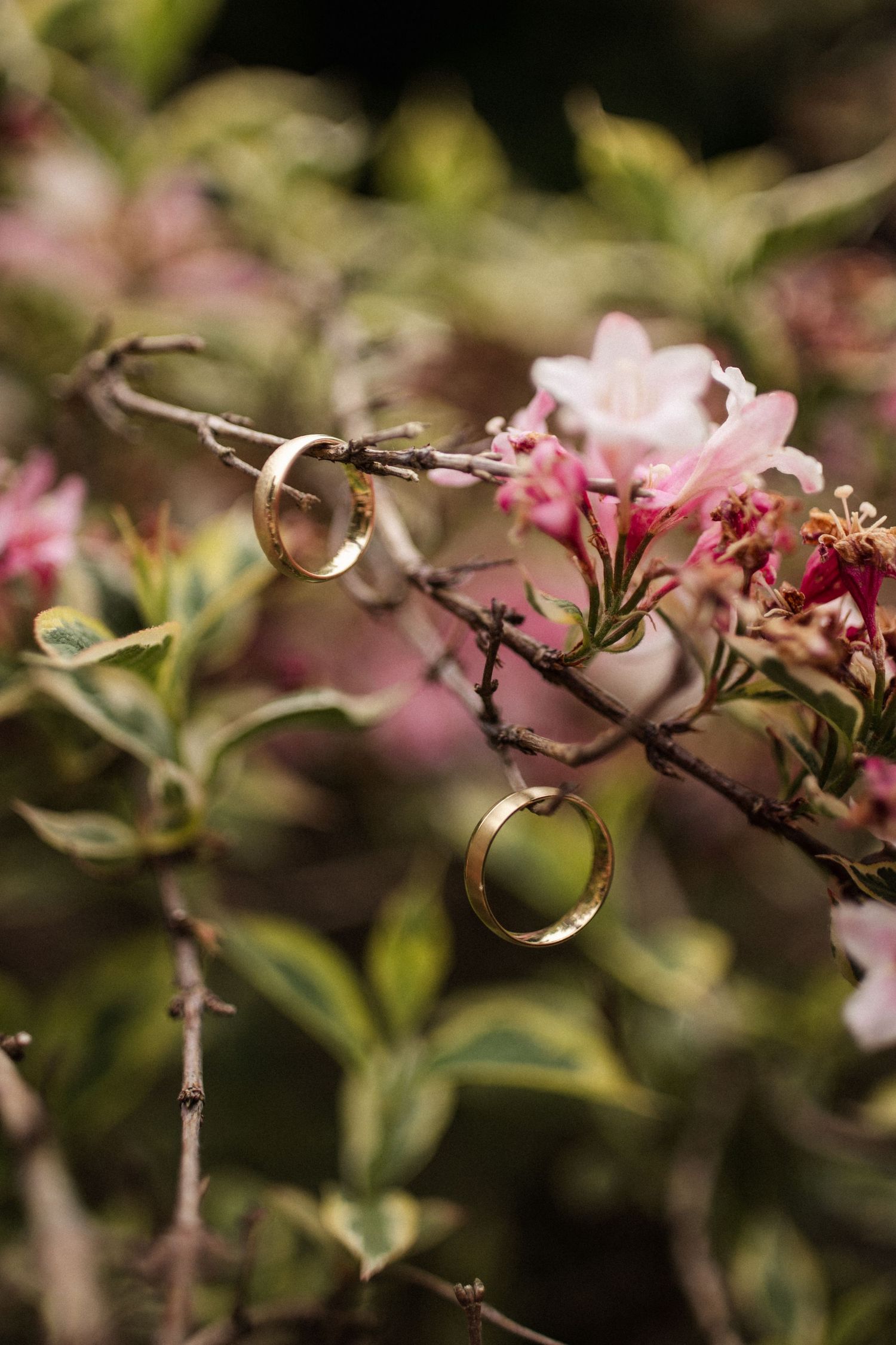 Wedding rings hanging on a delicate pink flower branch in a romantic garden setting.