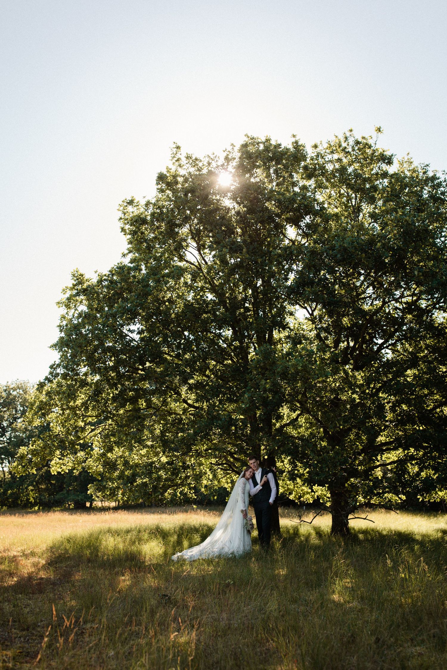 Two figures stand beneath a majestic oak tree in a golden field as sunlight streams through the branches at sunset.