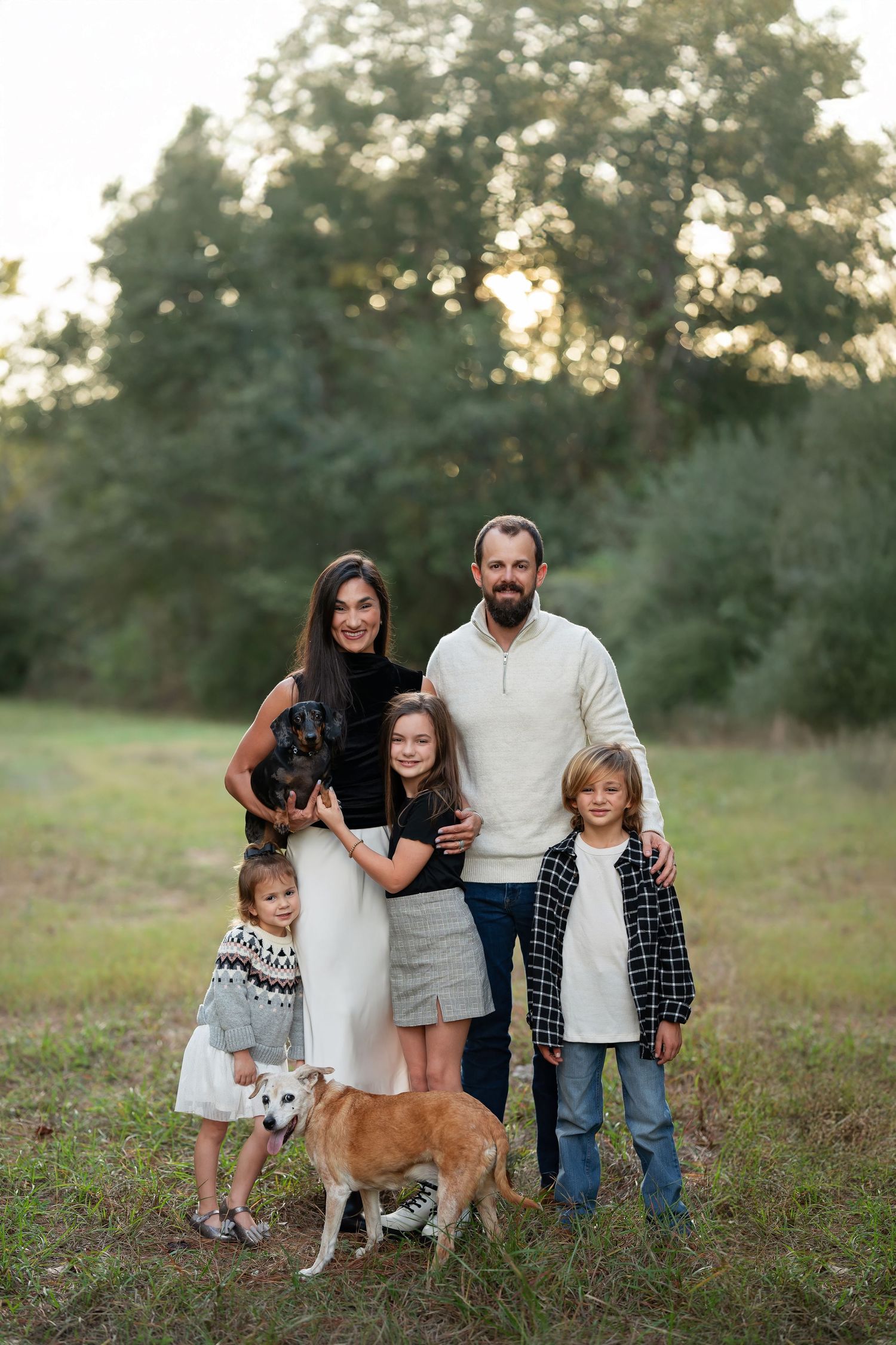 Posed family with pets 2 dogs in a field at sunset in golden sunlight