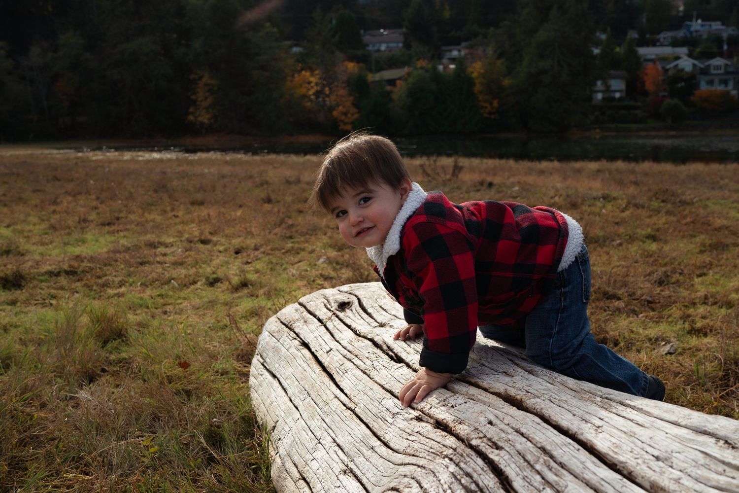 Naniamo, BC family photographer capturing a family of four in the beautiful outdoors.