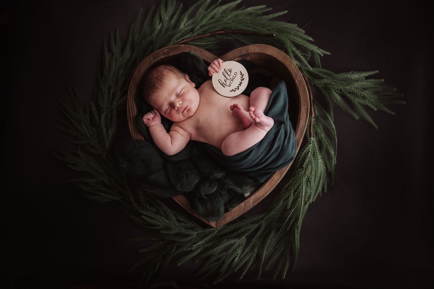 Artistic newborn portrait in circular basket surrounded by green pine branches.